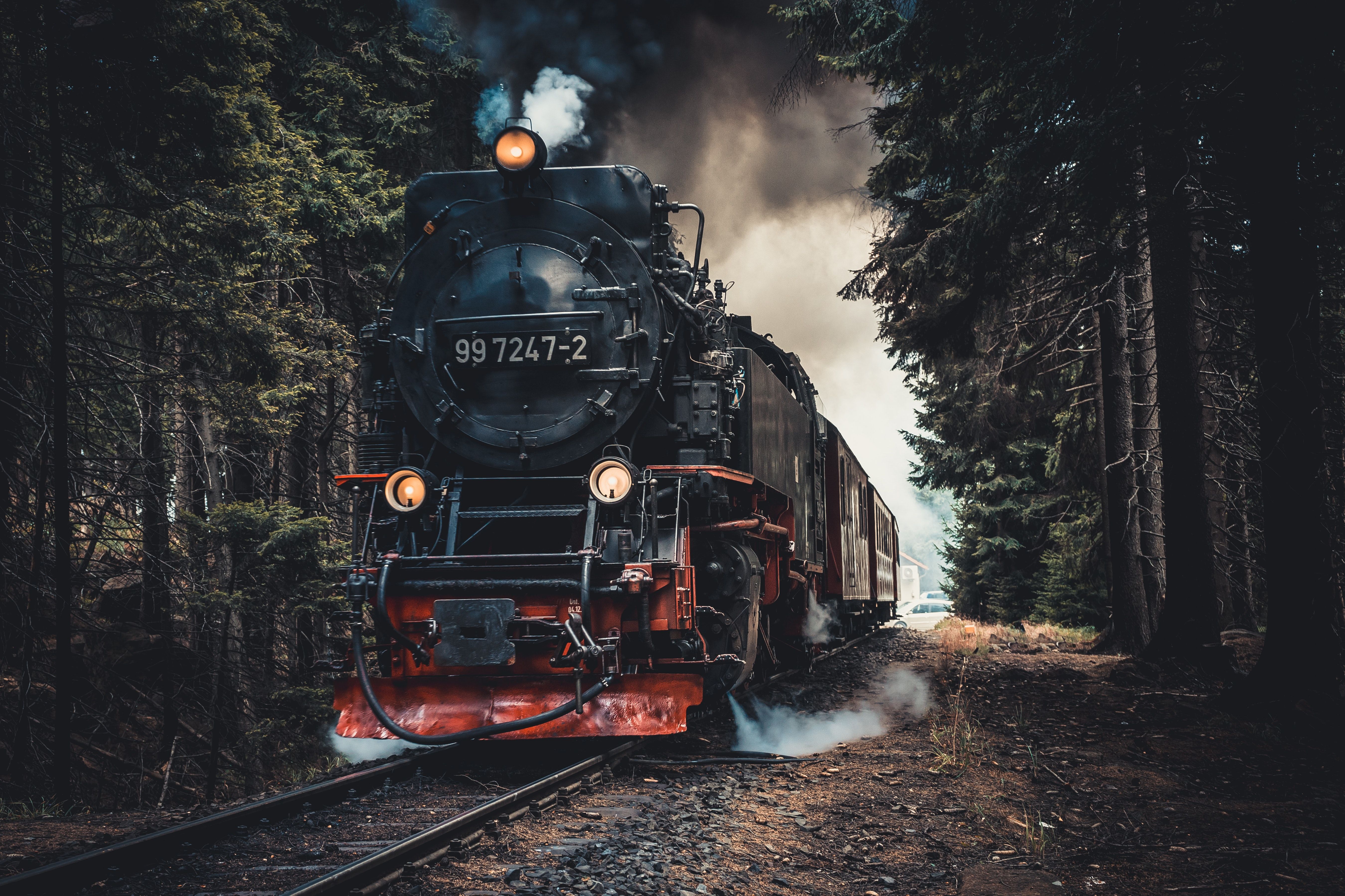 Harzer Schmalspurbahnen, 99 7247-2, Schmalspurbahn, Wald, Nacht, Scheinwerfer, 5K-Hintergrundbild