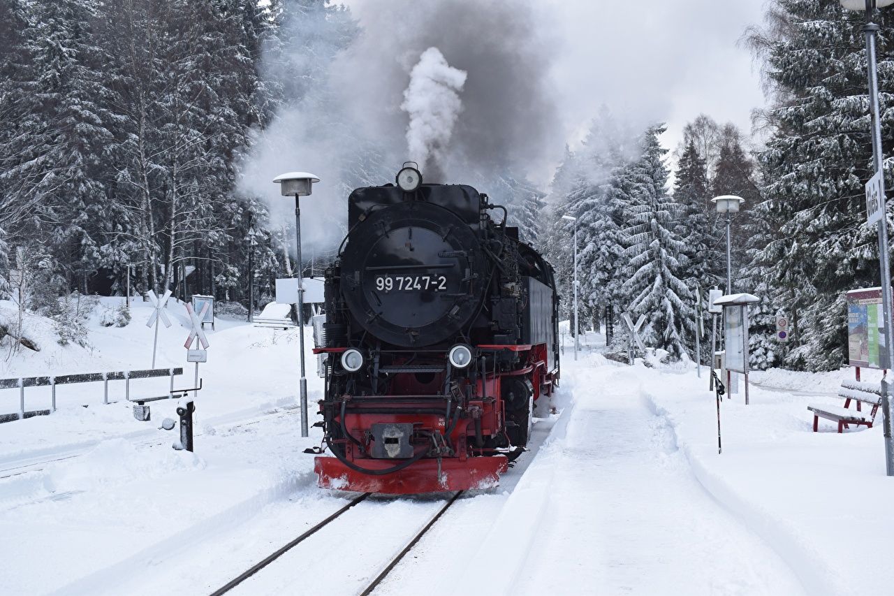 Harzer Schmalspurbahnen, 99 7247-2, Schnee, Winter, Tannenwald, HD, PC-Hintergrundbild