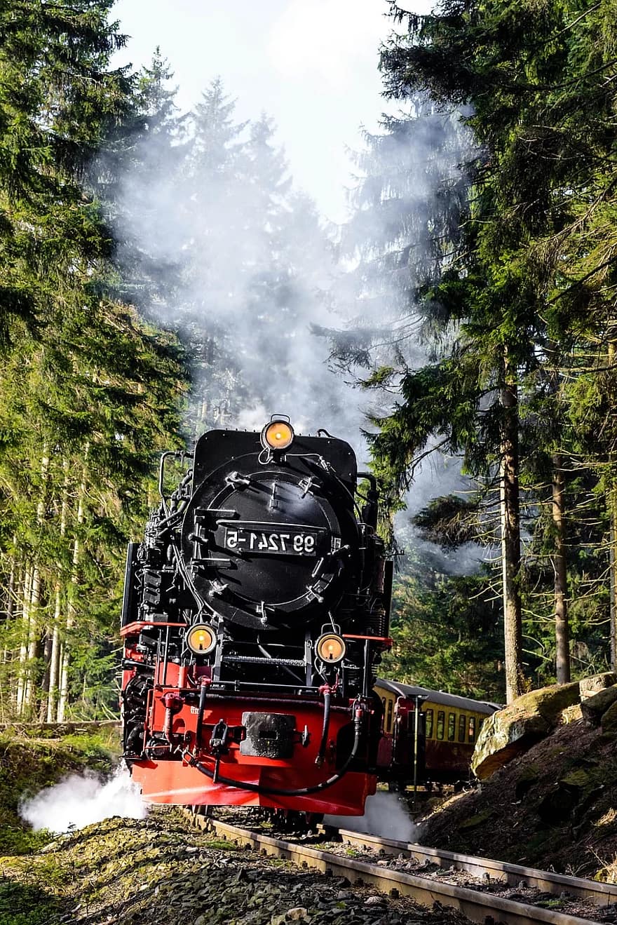 Harzer Schmalspurbahnen, Schmalspurlok, Wald, Dampf, Frontansicht, Hintergrundbild fürs Tablet