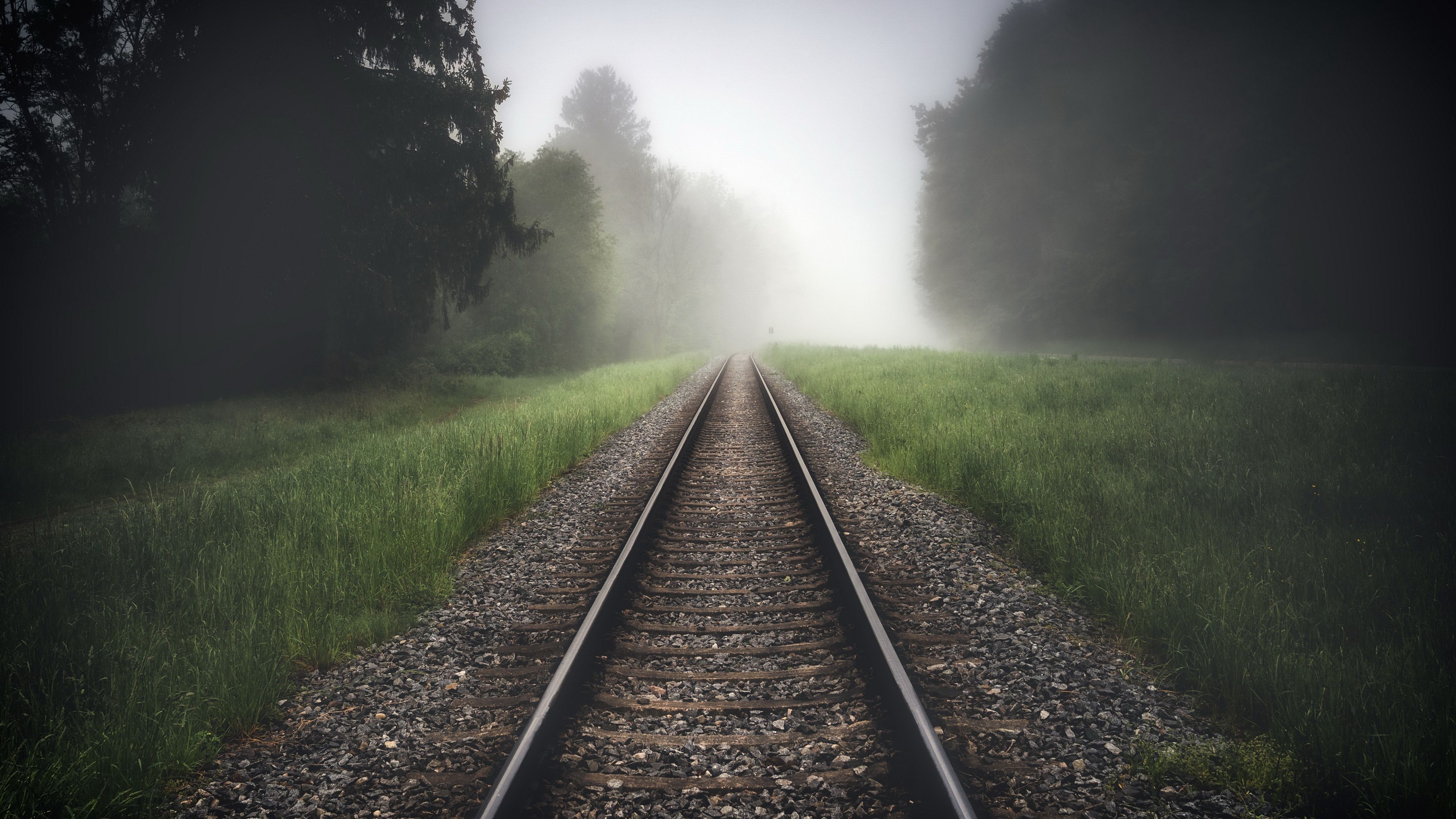 Bahngleise, Nebel, Wald, Fluchtpunkt, Mystisch, 4K 2160p, Desktop-Hintergrundbild