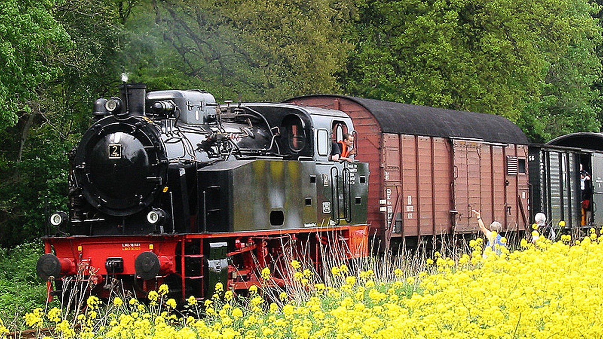 Dampflok, Güterwagen, Rapsblüten, Gelbe Blumen, Full HD 1080p, Desktop-Hintergrundbild