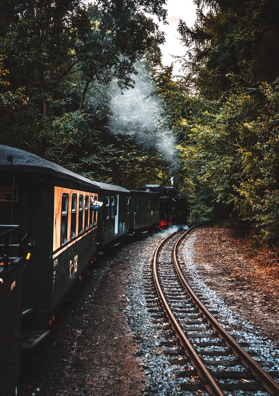 Dampfzug, Waldkurve, Gleise, Schmalspurbahn, HD, iPad-Hintergrundbild