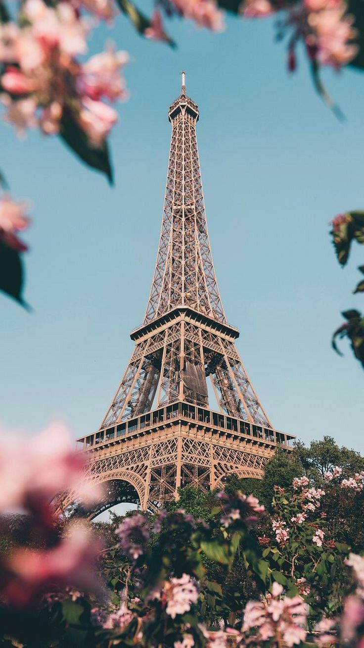 Eiffelturm, Paris, Frankreich, Kirschblüten, Rosa Blüten, Frühling, HD, iPhone-Hintergrundbild