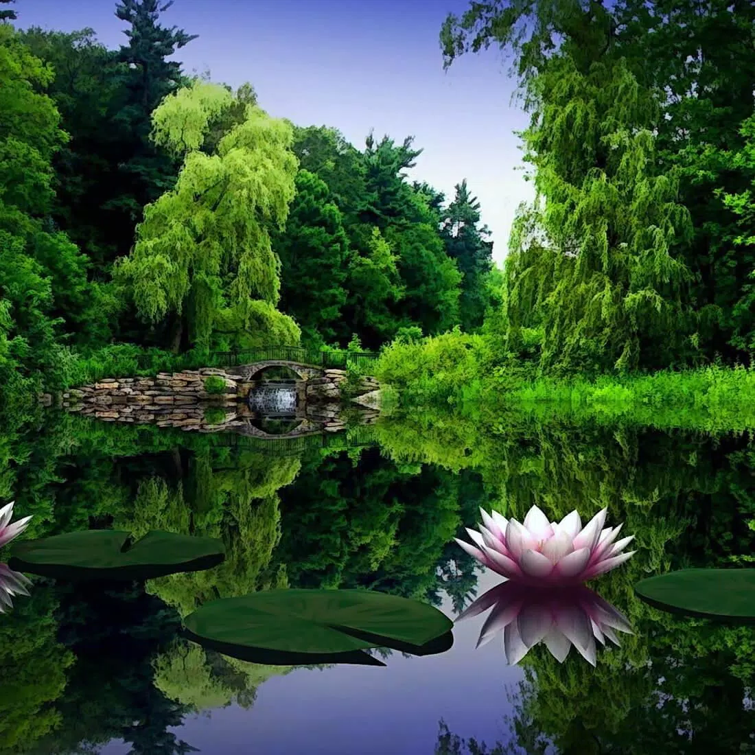 Seerose, Teich, Grüne Bäume, Park, Spiegelung, Sommer, Hintergrundbild für iPad und Tablet