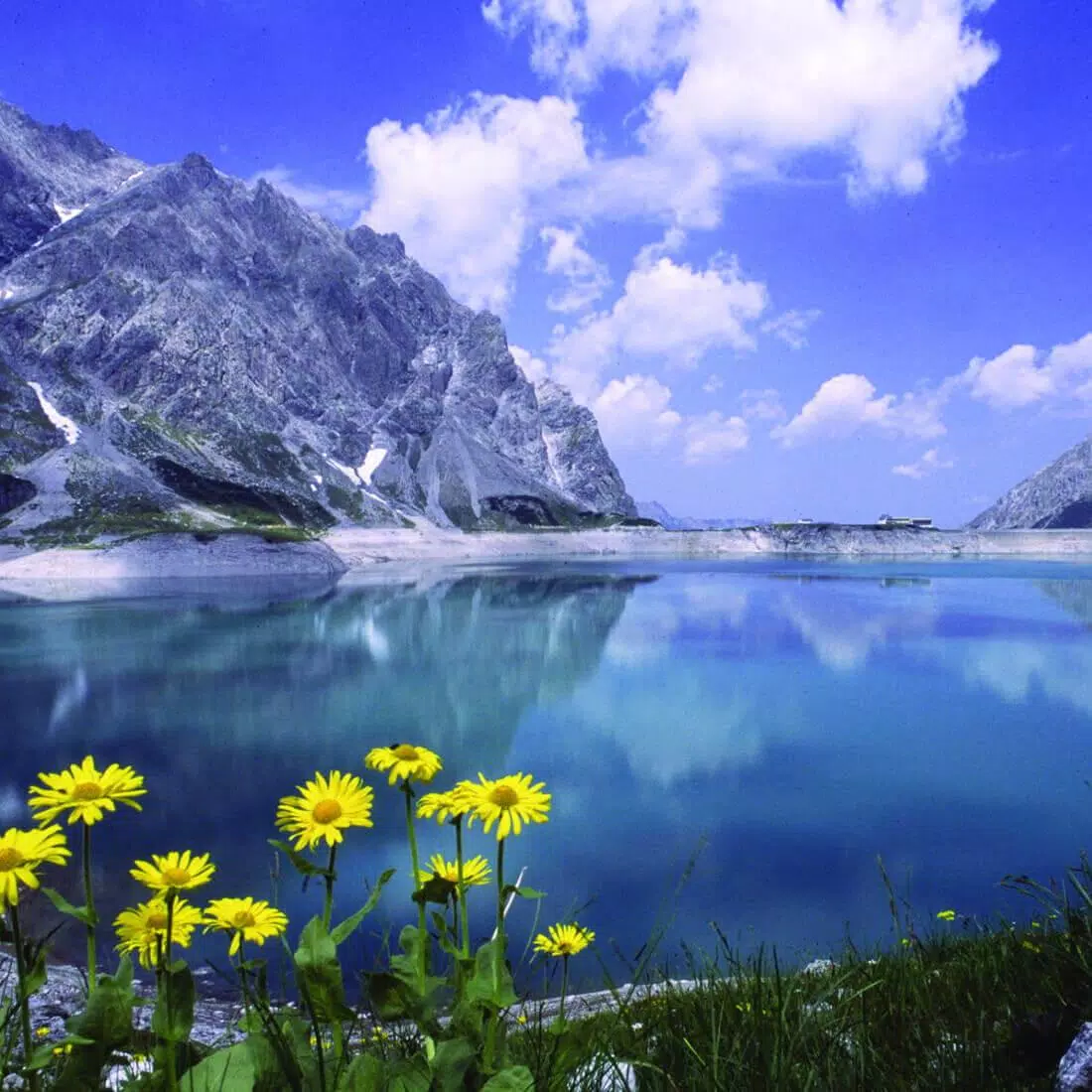 Bergsee, Schneeberge, Gelbe Blumen, Alpen, Wolken, Hintergrundbild für iPad und Tablet