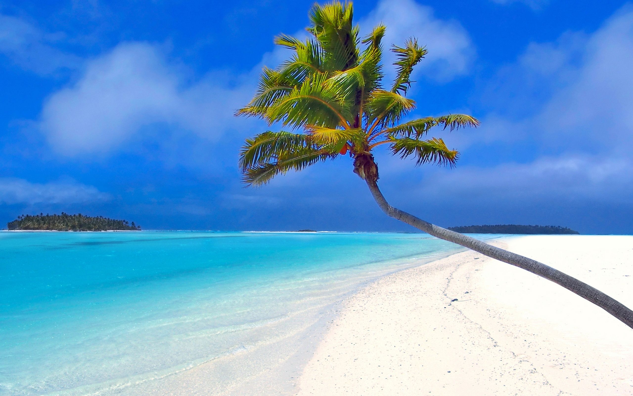 Palme, Tropenstrand, Weißer Sand, Türkises Meer, Blauer Himmel, 2K, Breitbild-Hintergrundbild