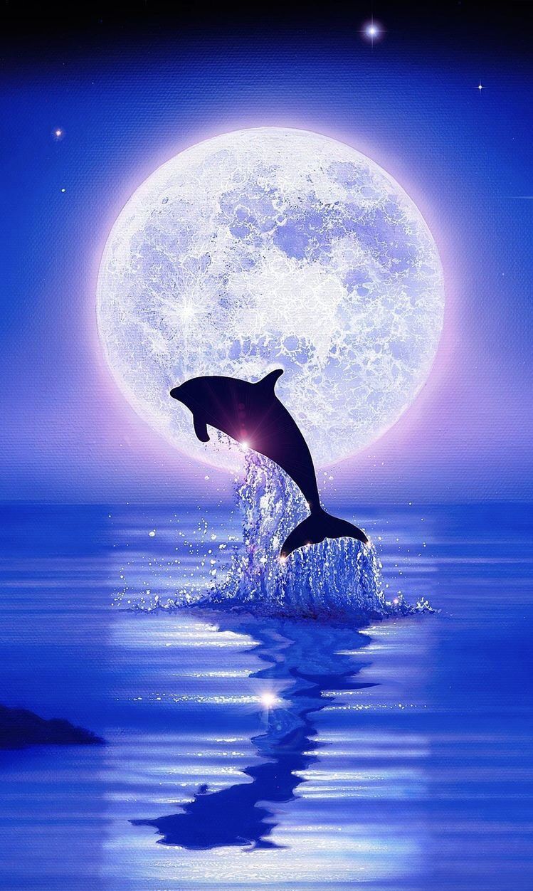 Delfin, Vollmond, Nacht, Blau, Spiegelung, Hintergrundbild für iPhone und Android