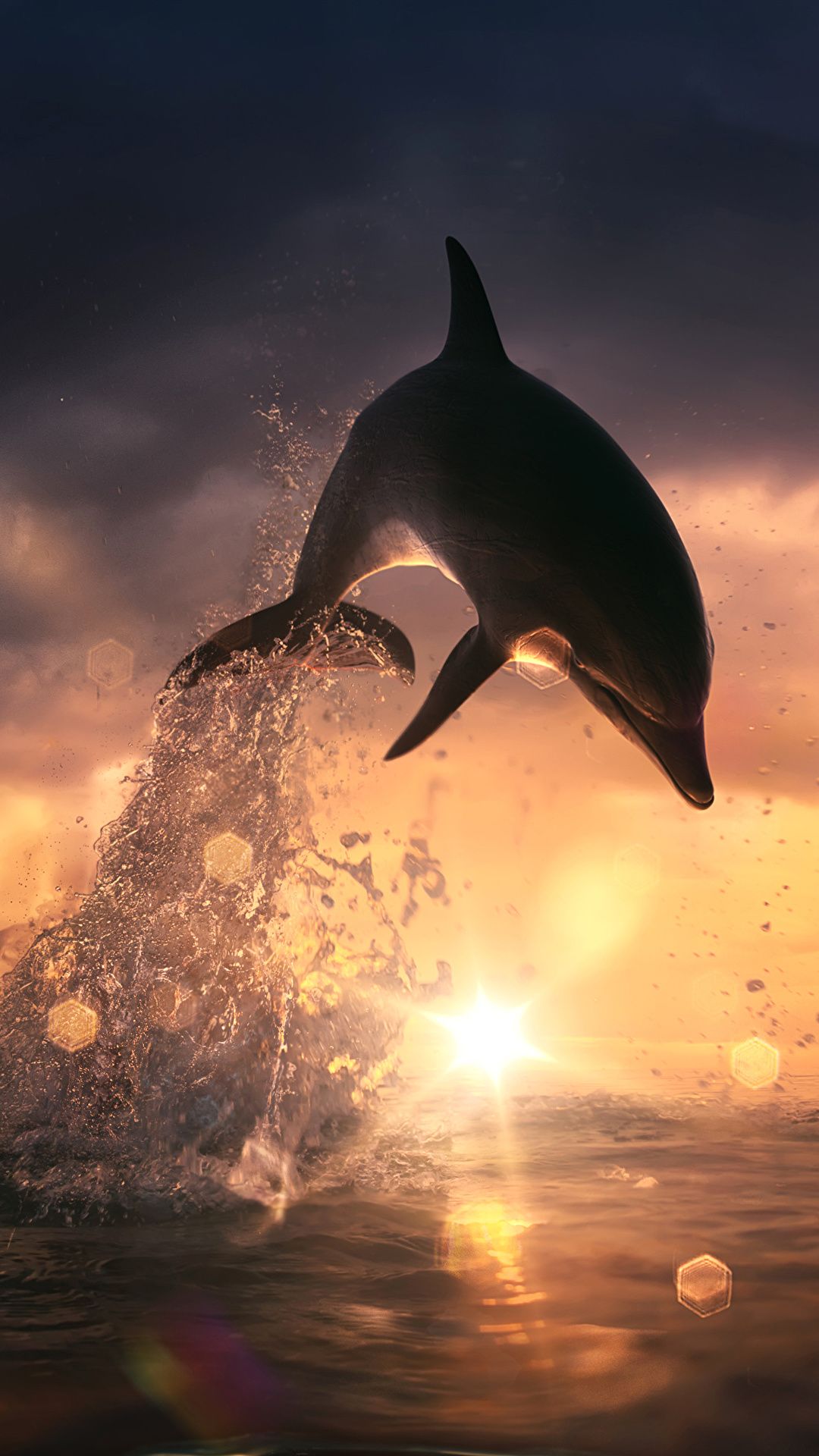 Delfin, Sprung, Gegenlicht, Sonnenuntergang, Spritzwasser, Android-Hintergrundbild