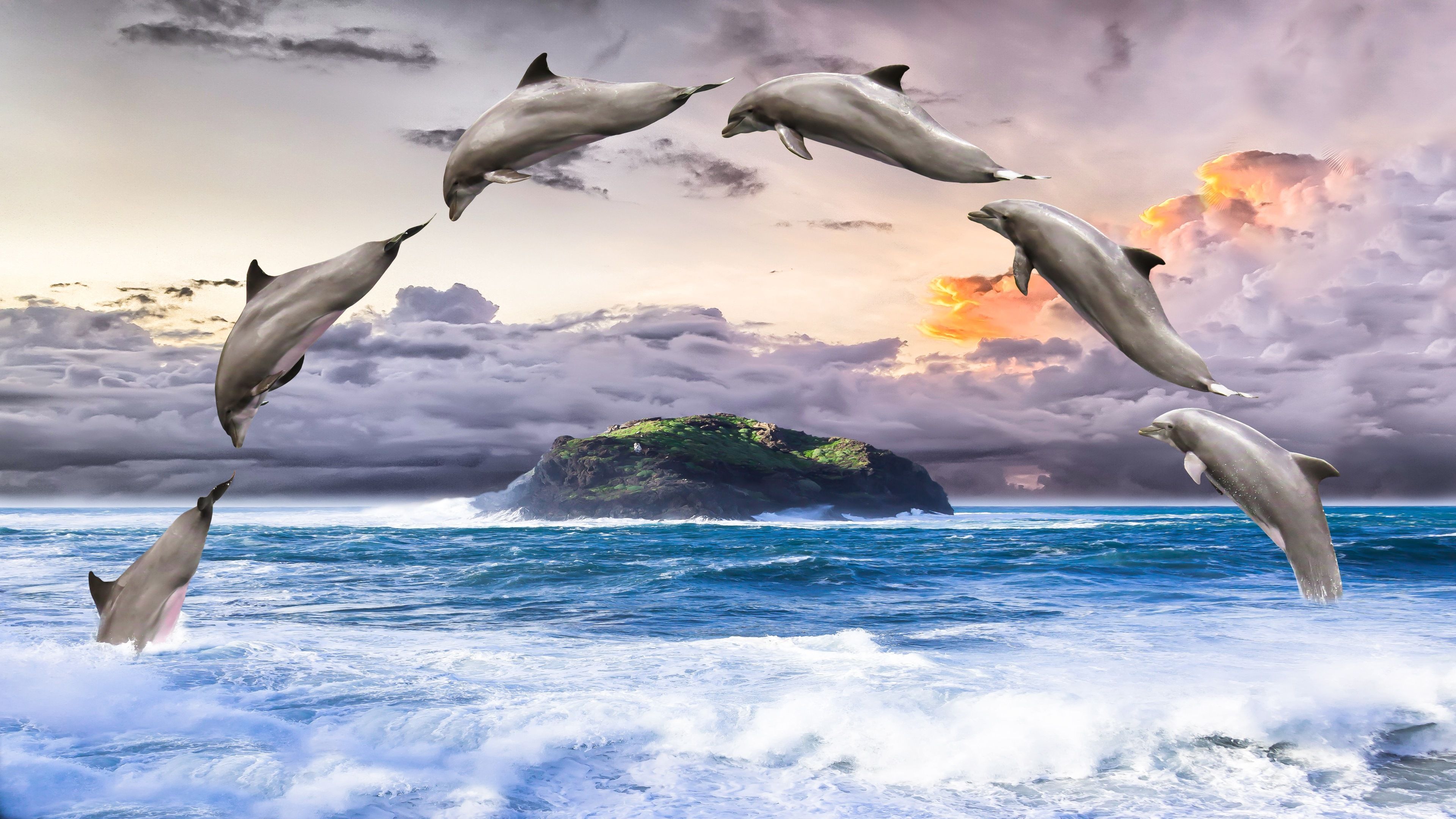 Delfinschule, Delfine, Sprung, Insel, Wolken, Collage, 4K 2160p, Desktop-Hintergrundbild