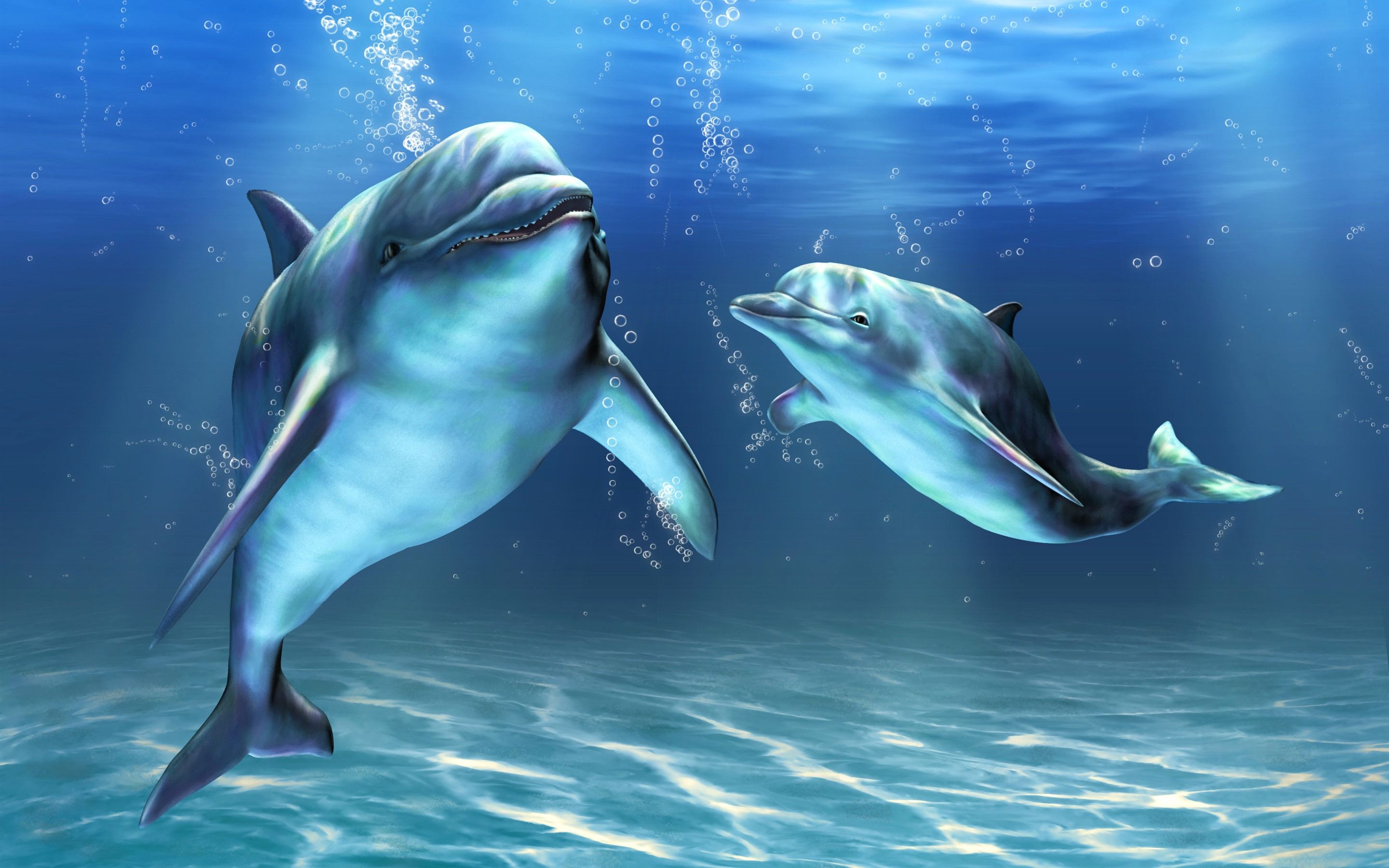 Delfine, Unterwasser, Luftblasen, Blau, Lächeln, 2K, Hintergrundbild für den PC