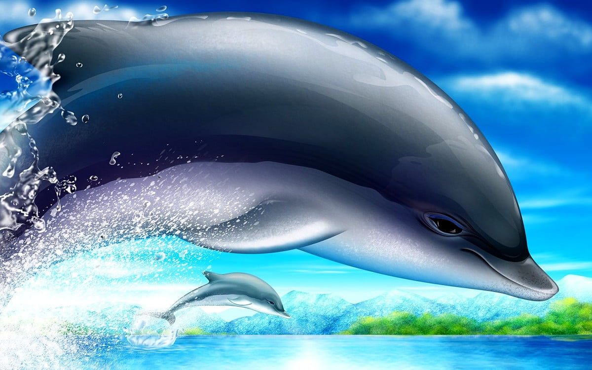 Delfin, Sprung, Digitale Kunst, Spritzwasser, Blauer Himmel, Hintergrundbild
