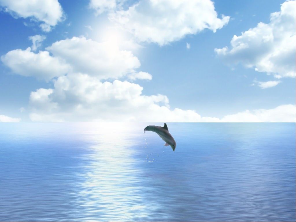 Delfin, Sprung, Wolken, Ruhiges Meer, Horizont, Hintergrundbild für iPad und Tablet
