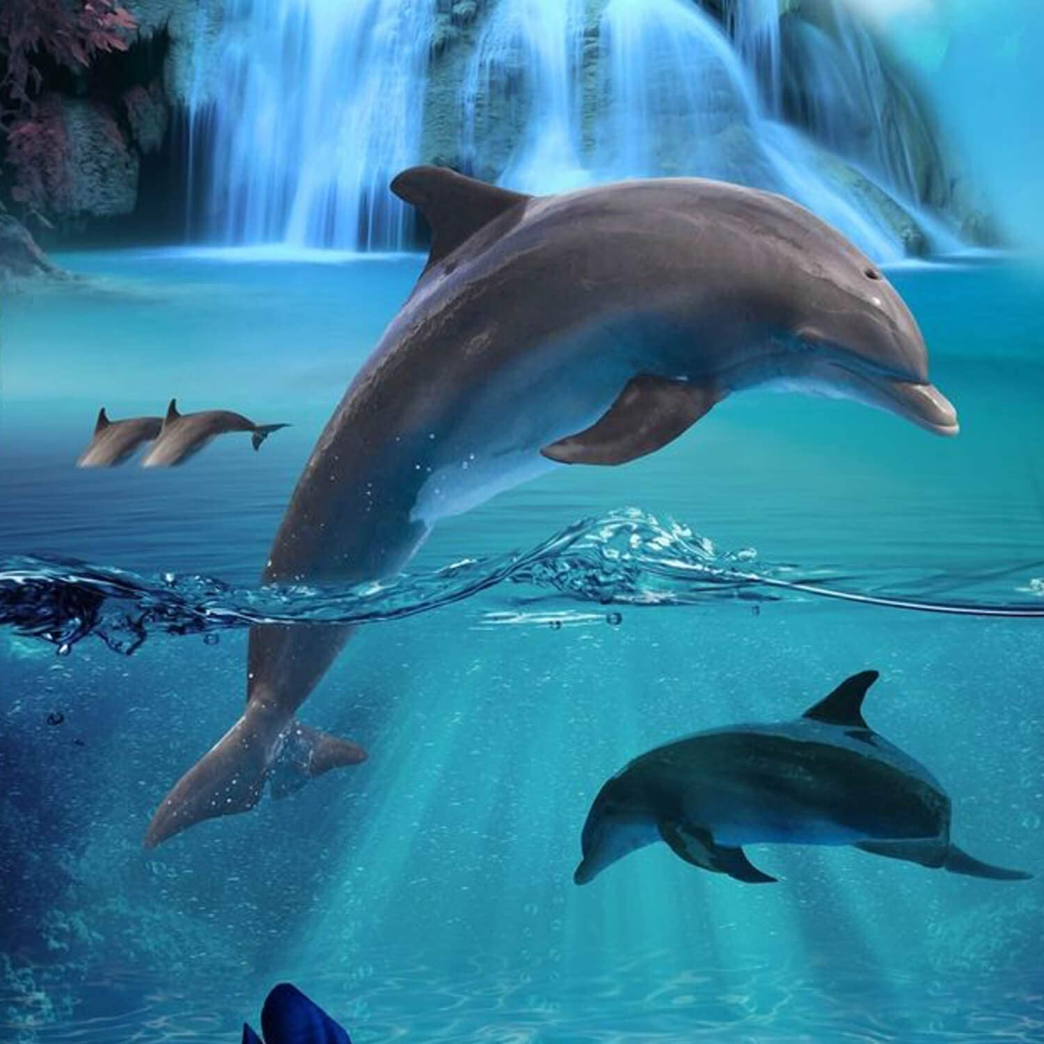 Delfine, Wasserfall, Unterwasser, Halb-unter-Wasser, Fantasy, Hintergrundbild fürs iPad