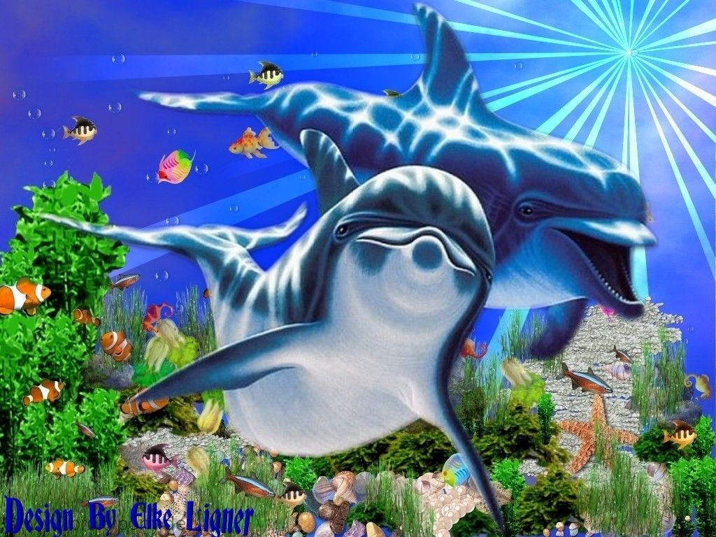 Delfine, Korallenriff, Bunte Fische, Digitale Kunst, Unterwasser, Hintergrundbild fürs iPad