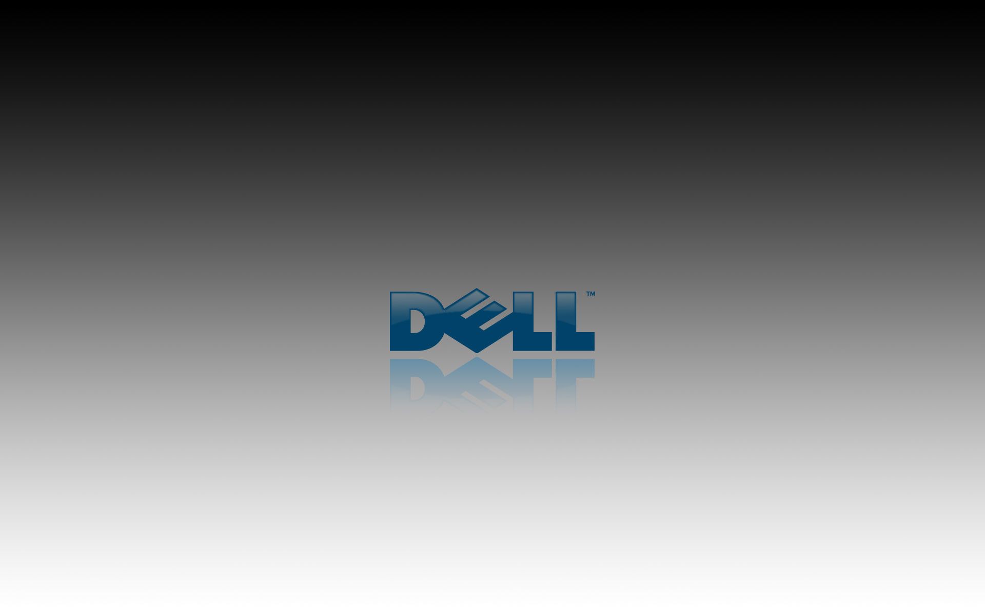 Dell-Logo, Dell, Weiß-grau, Farbverlauf, Minimalismus, 16:10, Full-HD-Hintergrundbild für den Desktop