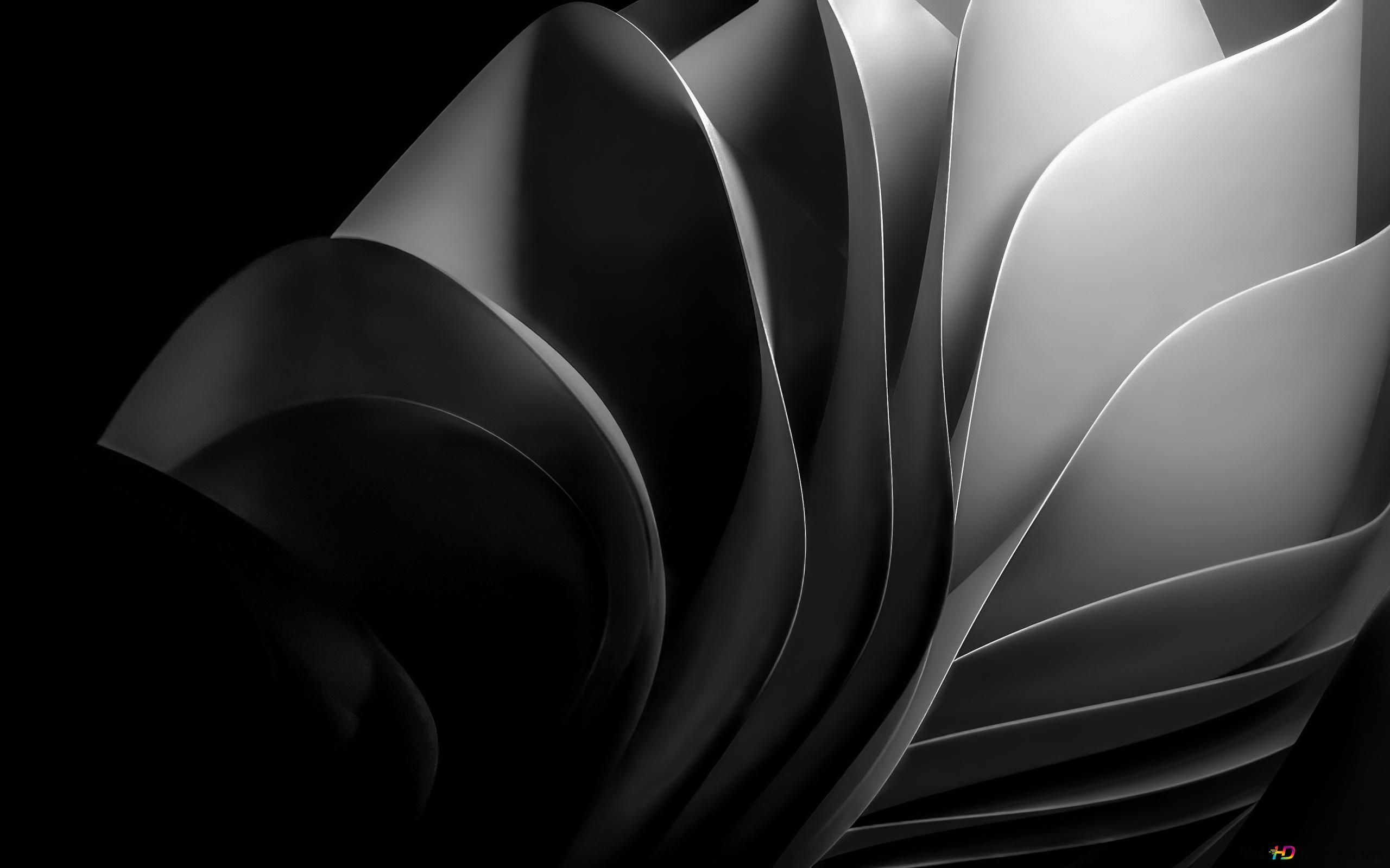 Blütenblätter, Schwarz-weiß, 3D-Render, Monochrom, 2K, Hintergrundbild für den PC