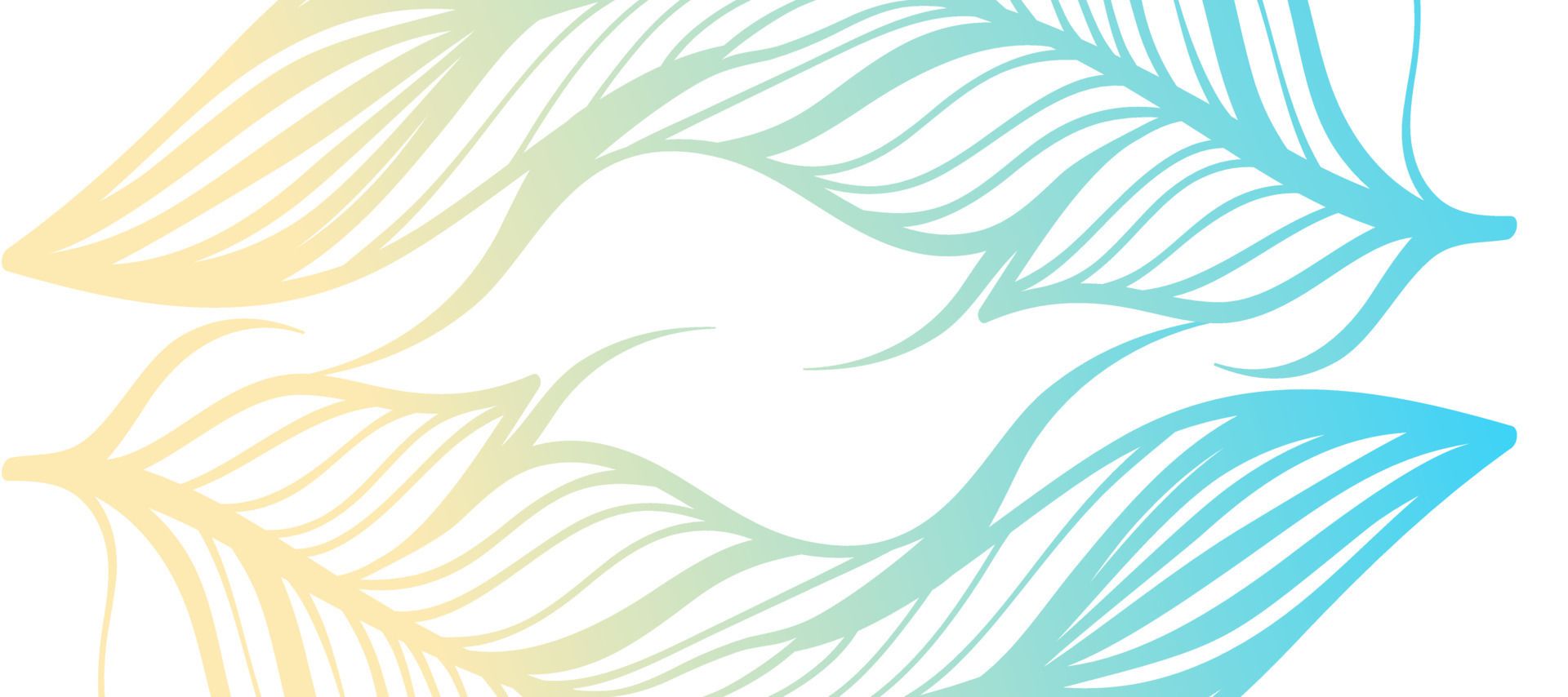Federn, Linienkunst, Pastell-Farbverlauf, Weißer Hintergrund, Full HD Wallpaper