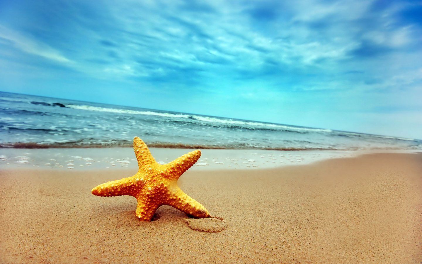 Seestern, Strand, Meer, Sand, Sommer, HD, Hintergrundbild für den PC