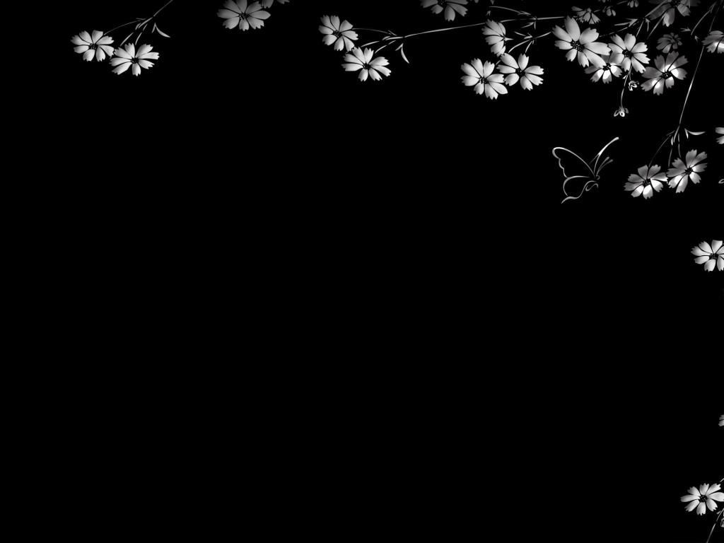 Weiße Blüten, Schwarzer Hintergrund, Schmetterling, Rahmen, Wallpaper
