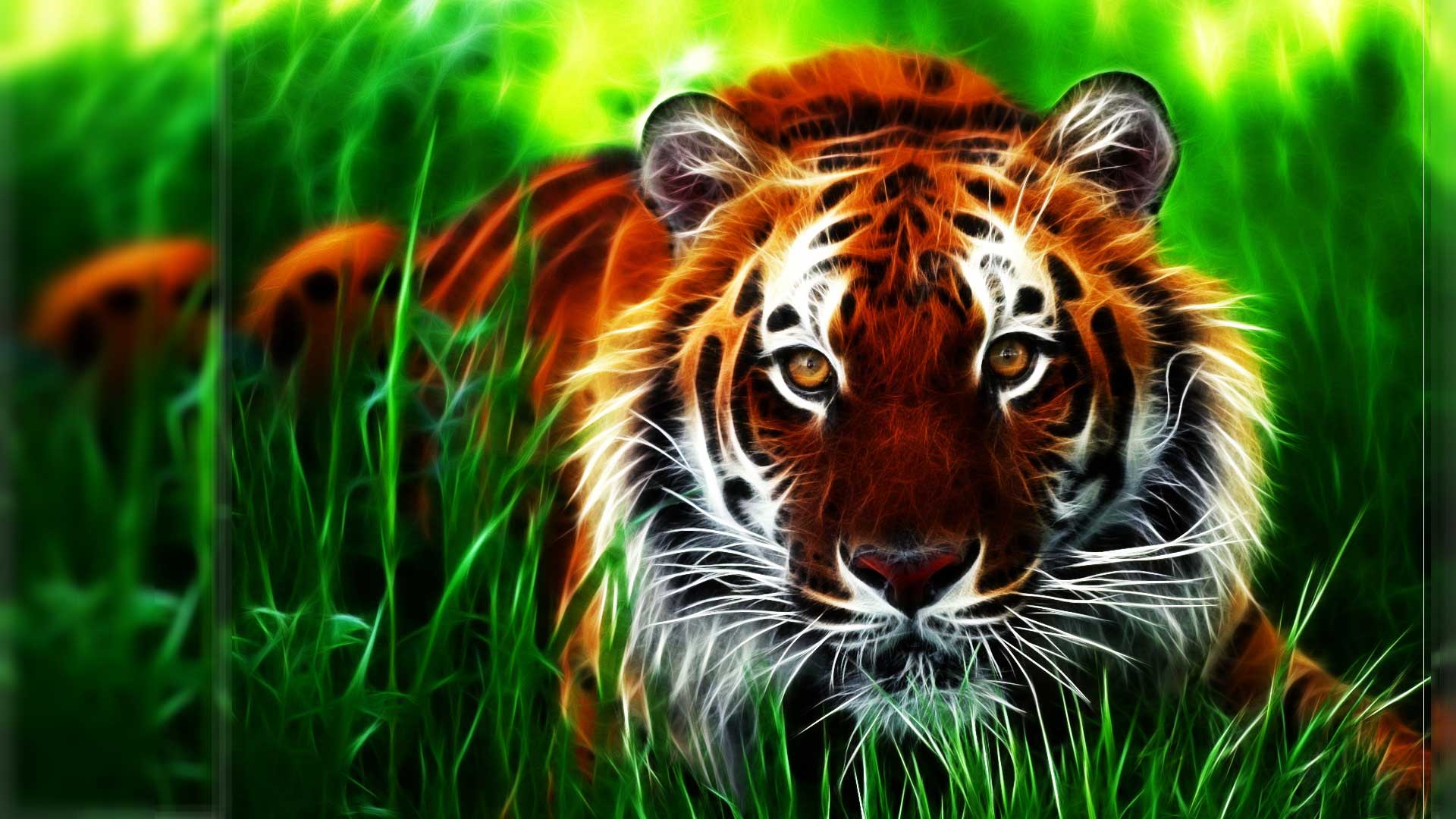 Tiger, Gras, Raubkatze, Digitale Kunst, Full HD, Desktop-Hintergrund für Windows