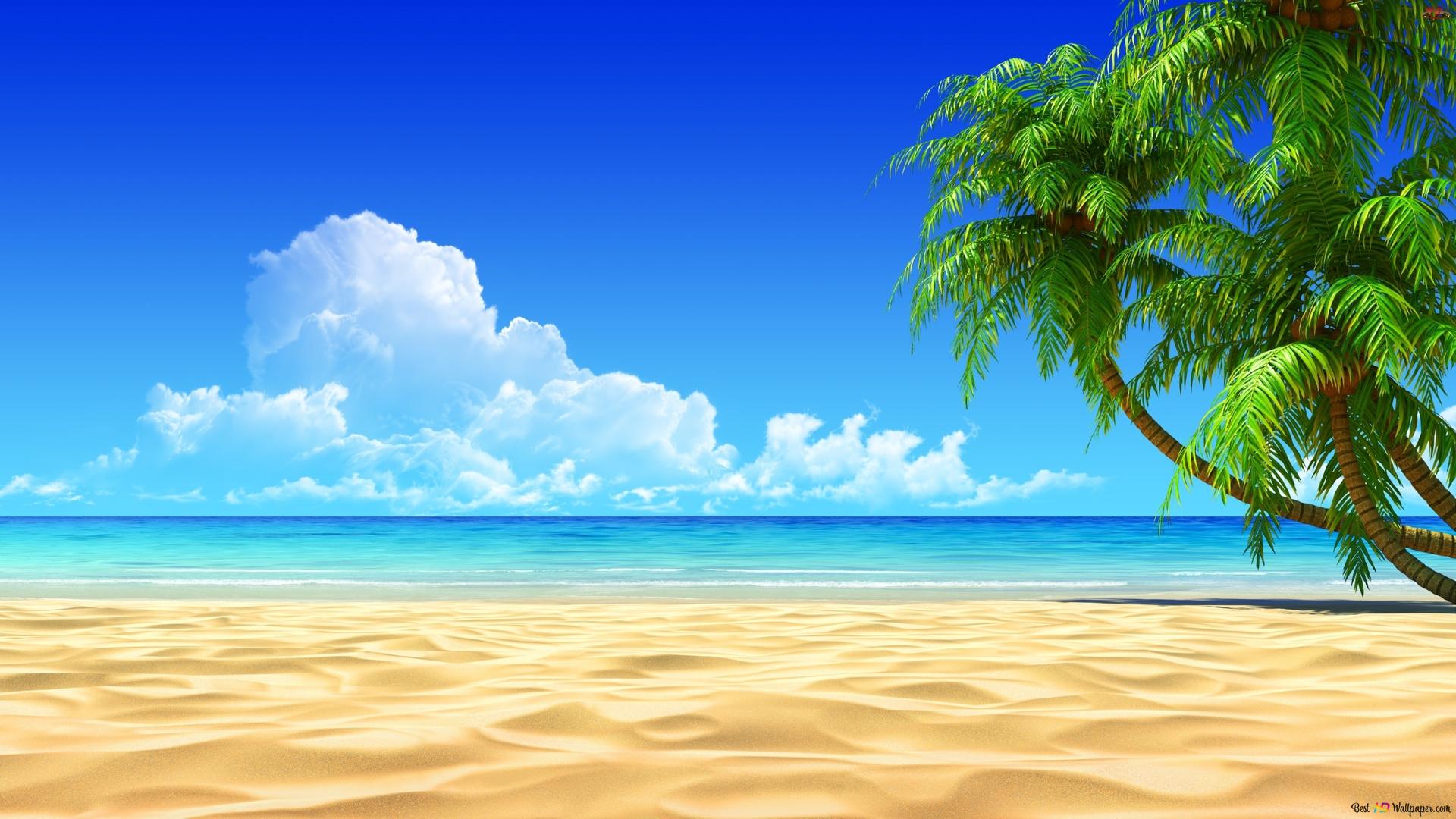 Tropischer Strand, Palmen, Meer, Wolken, Sommer, Sand, 16:9, Full-HD-Hintergrundbild für den Desktop