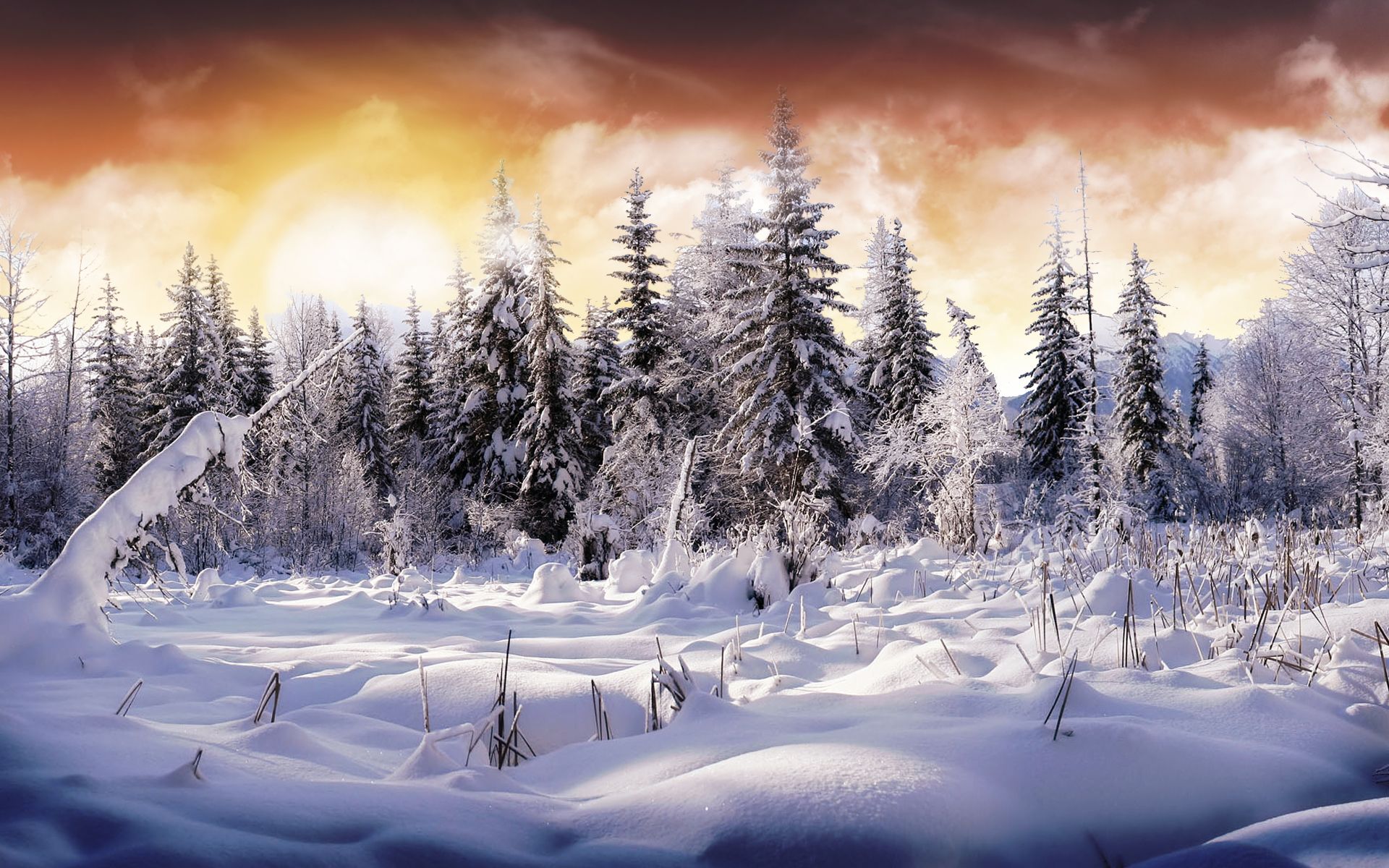 Winterwald, Schnee, Tannen, Sonnenuntergang, Winterlandschaft, Full HD, MacBook-Hintergrundbild