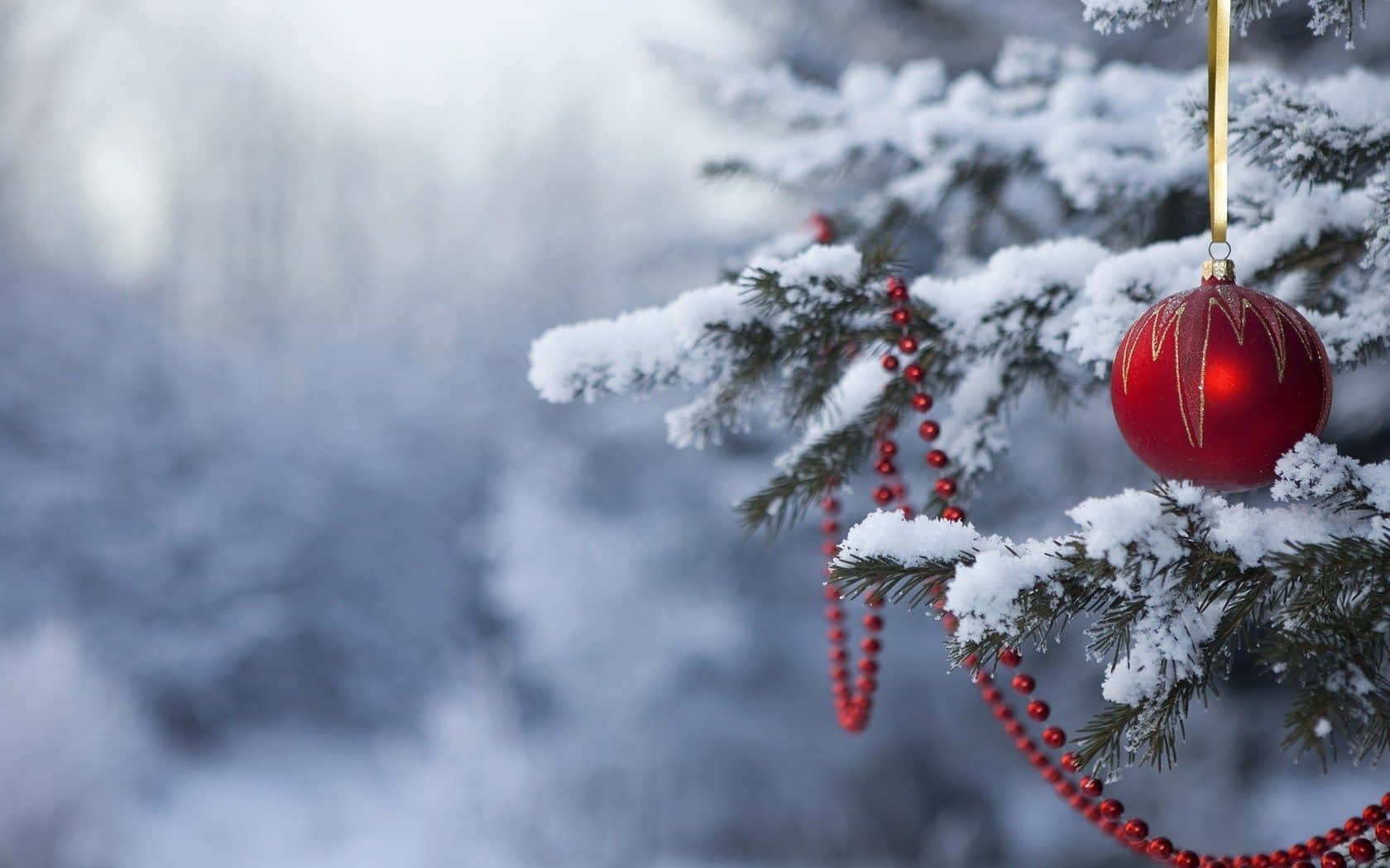 Christbaumkugel, Verschneiter Zweig, Rote Kugel, Winter, Nahaufnahme, HD, Breitbild-Hintergrundbild