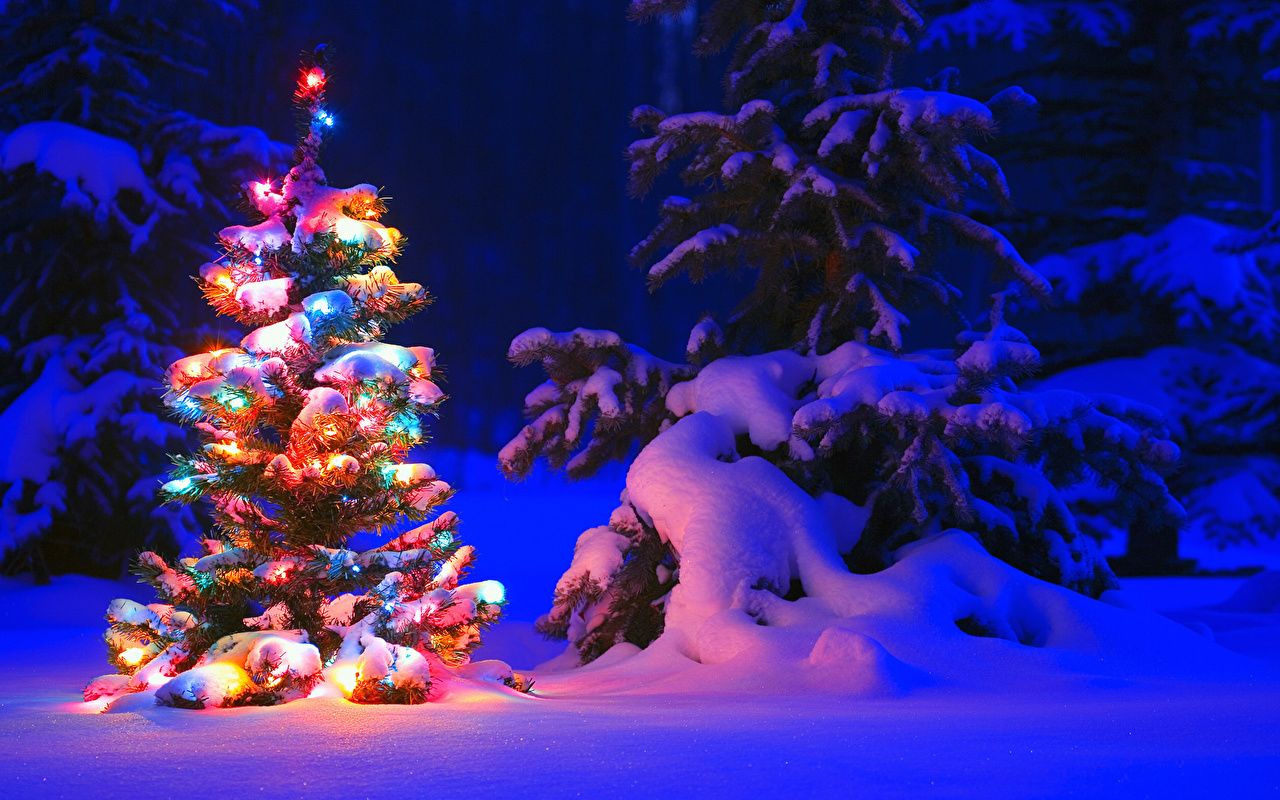 Weihnachtsbaum, Bunte Lichter, Verschneiter Wald, Winternacht, HD, MacBook-Hintergrundbild