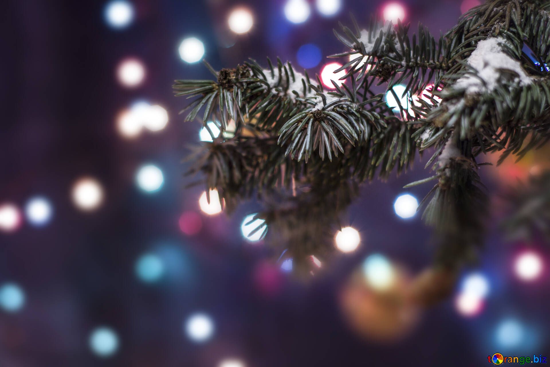 Tannenzweig, Bokeh, Bunte Lichter, Raureif, Nahaufnahme, Full HD, Desktop-Hintergrund