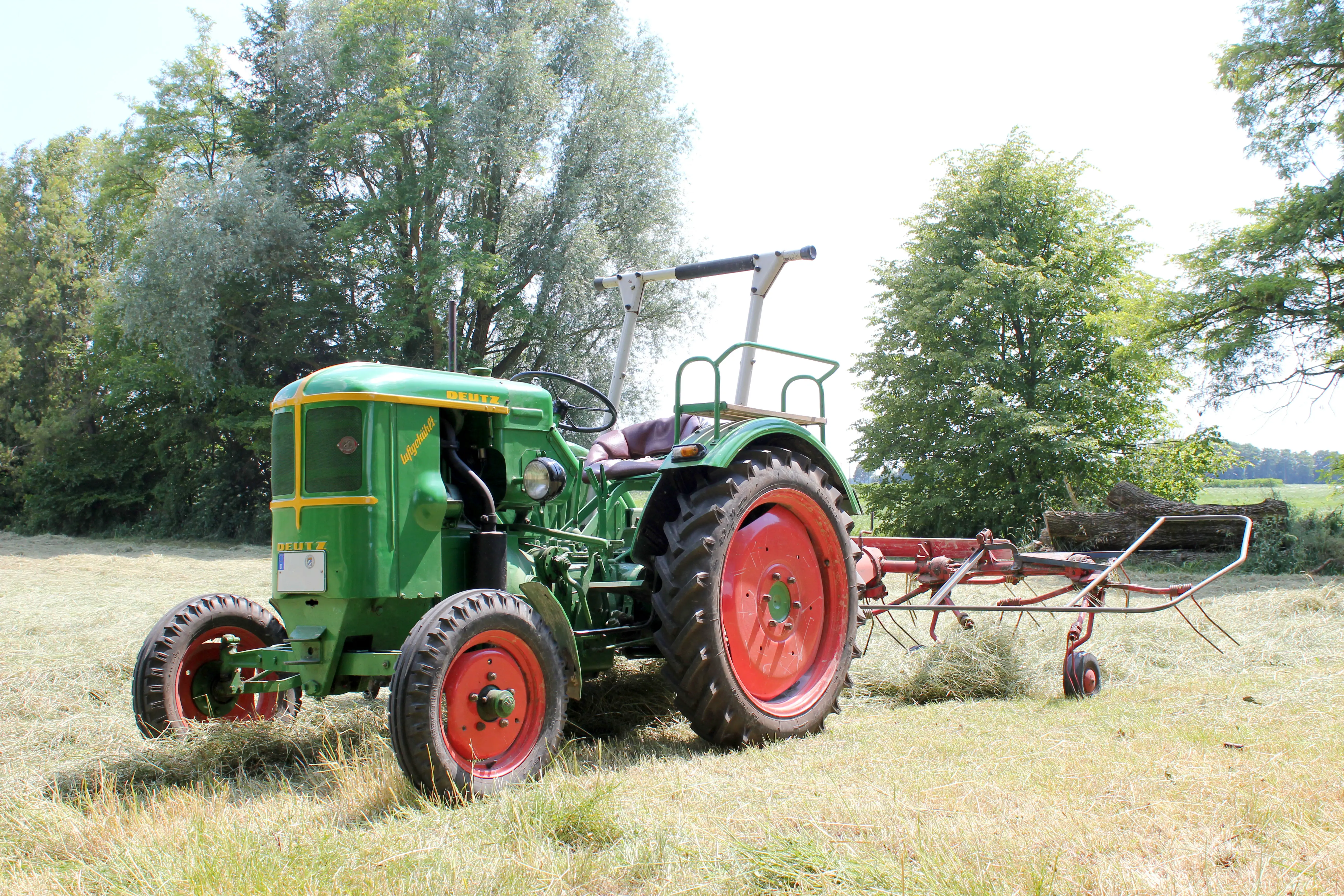 Deutz, Oldtimer-Traktor, Heuwender, Wiese, Historisch, 5K, Hintergrundbild für den PC