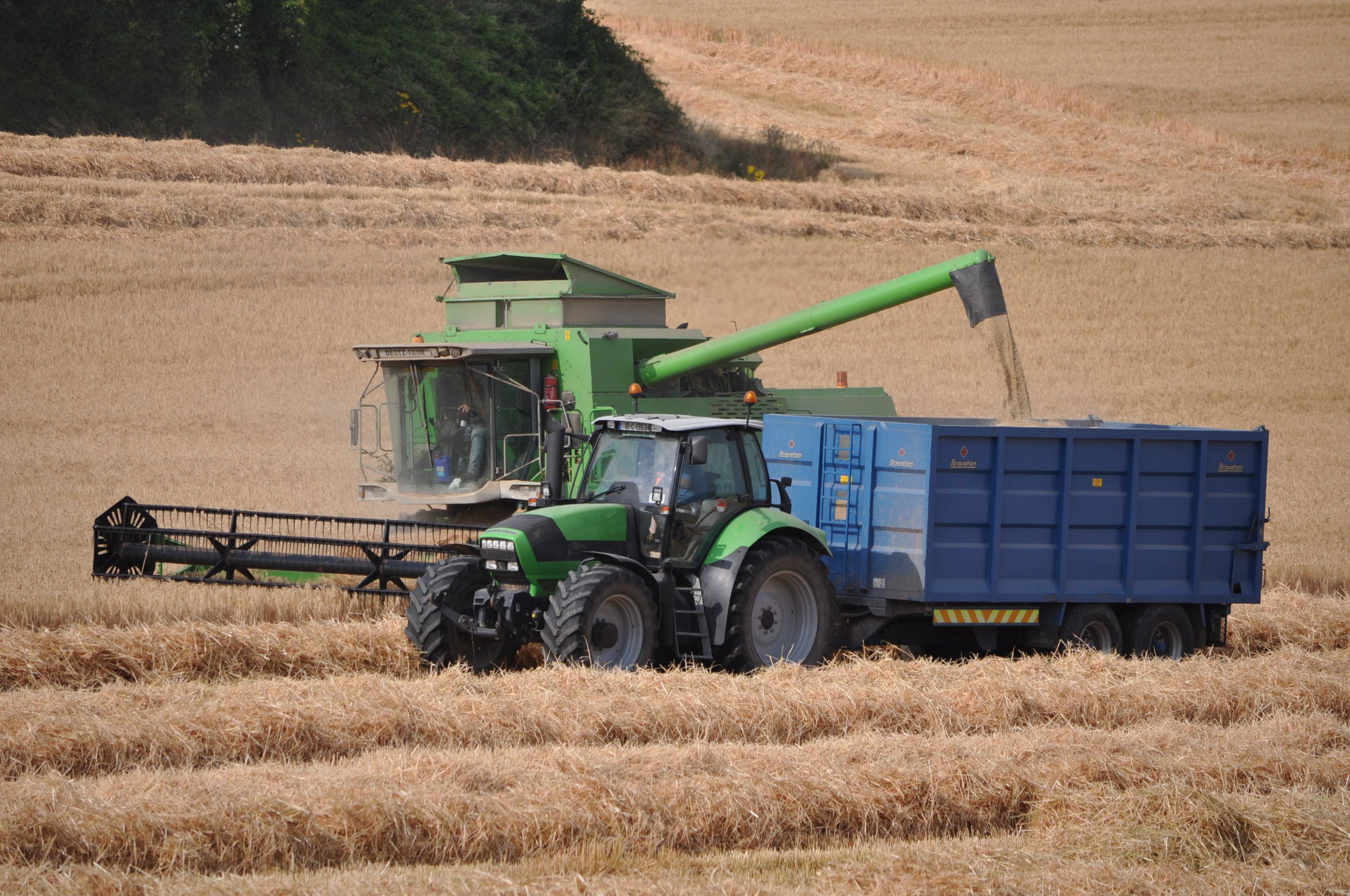 Deutz-Fahr, Mähdrescher, Getreideernte, Anhänger, Weizenfeld, 2K-Hintergrundbild für PC