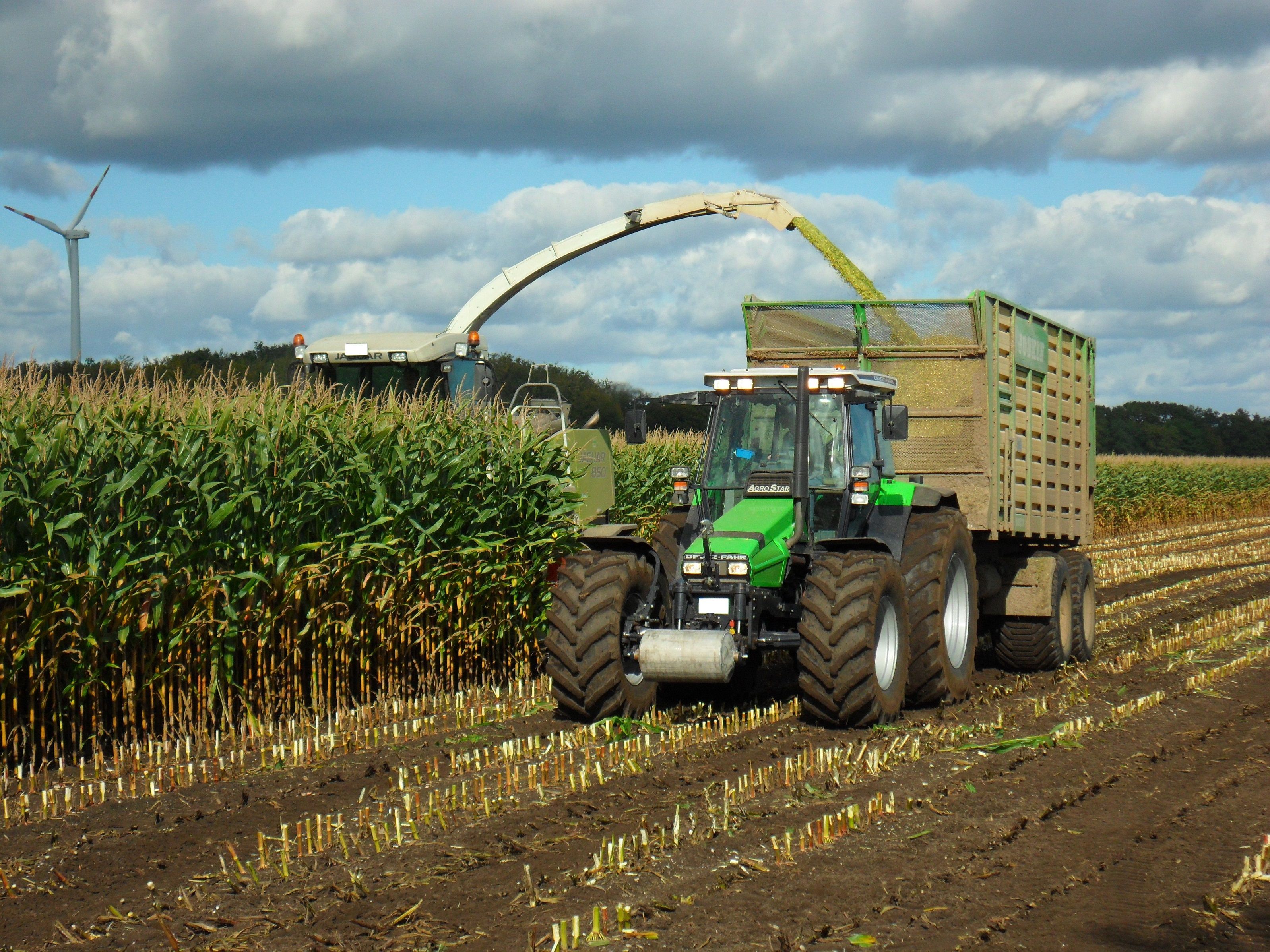 Deutz-Fahr, Traktor, Maisernte, Feldhäcksler, Häckselwagen, Hintergrundbild fürs Tablet