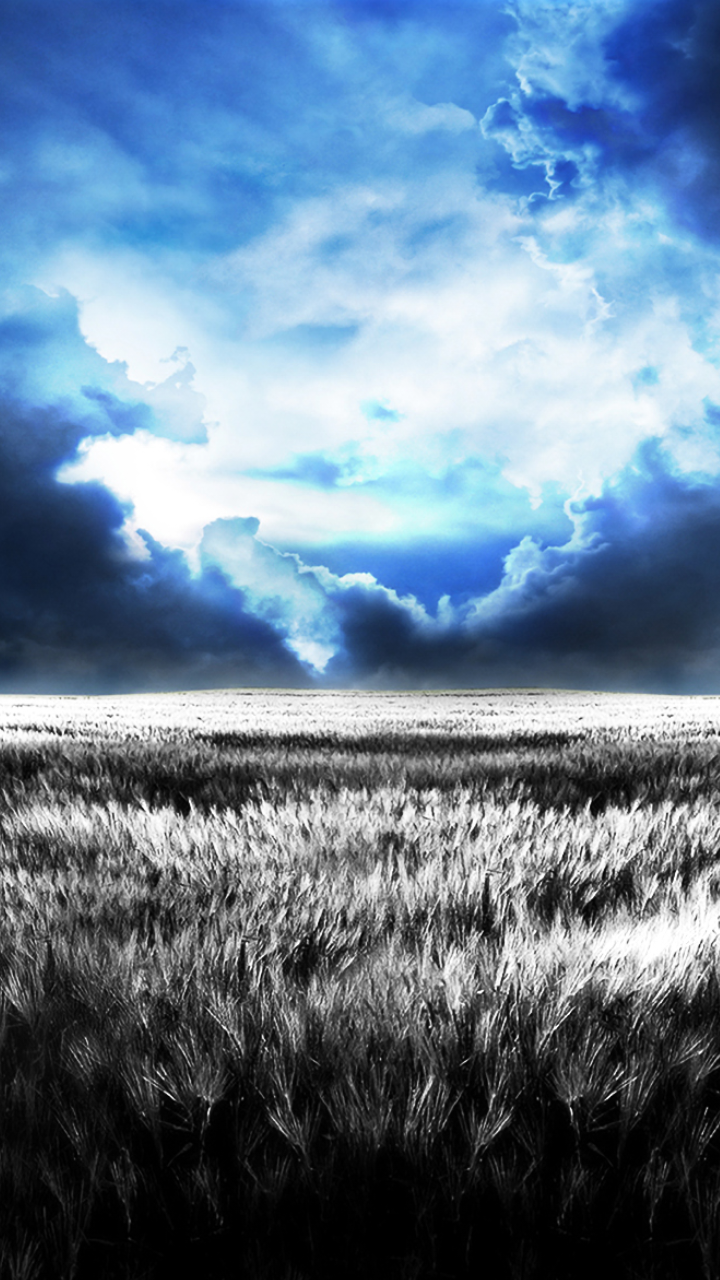 Gewitterwolken, Feld, Dramatischer Himmel, Kontrast, HD, Hintergrundbild fürs Handy