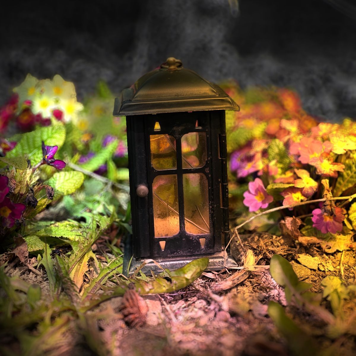 Laterne, Blumen, Herbst, Bokeh, Hintergrundbild für iPad und Tablet
