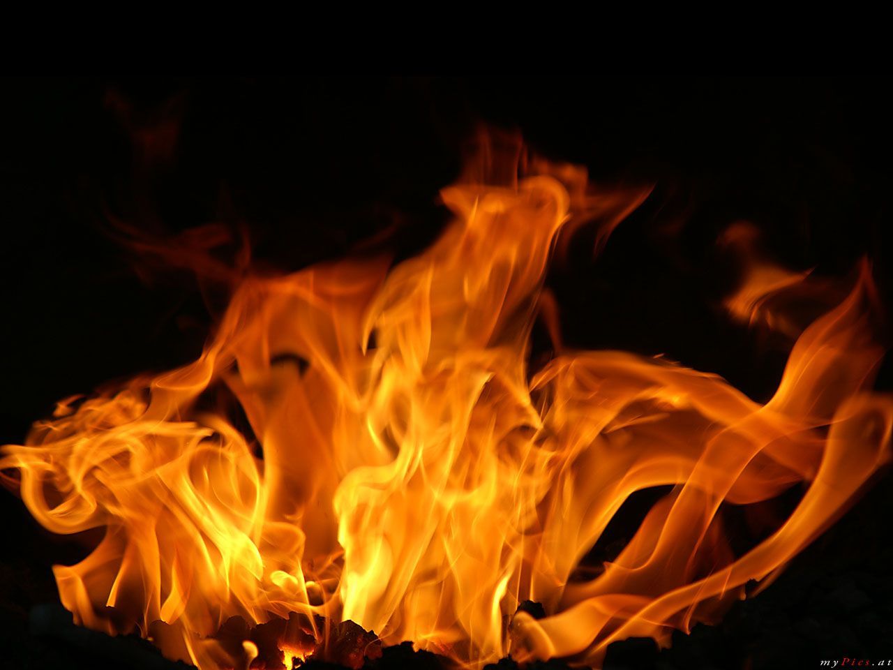 Feuer, Flammen, Schwarzer Hintergrund, Orange, Nahaufnahme, HD Wallpaper