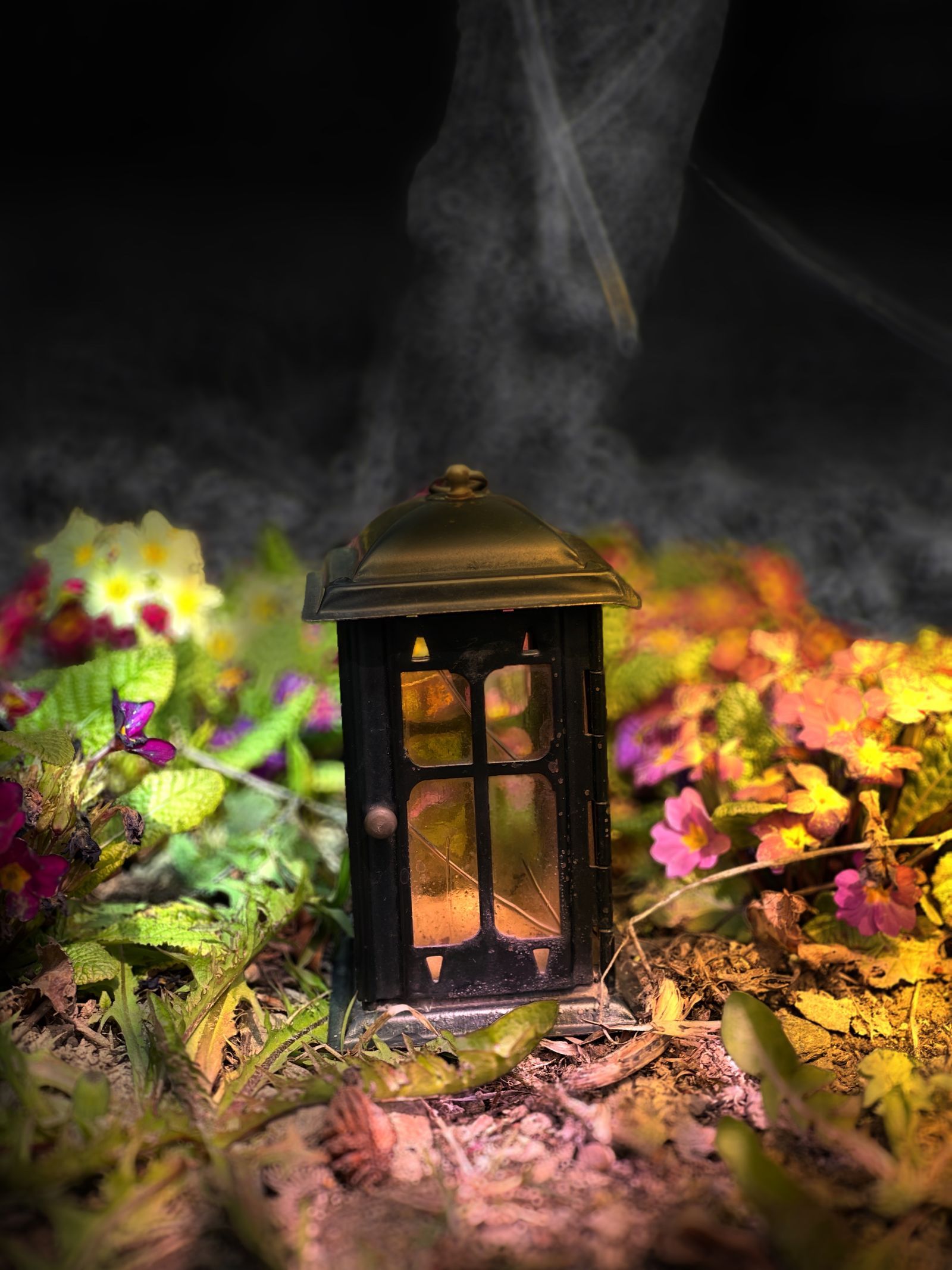 Laterne, Blumen, Rauch, Nacht, Märchenhaft, QHD+, Hintergrundbild fürs Tablet
