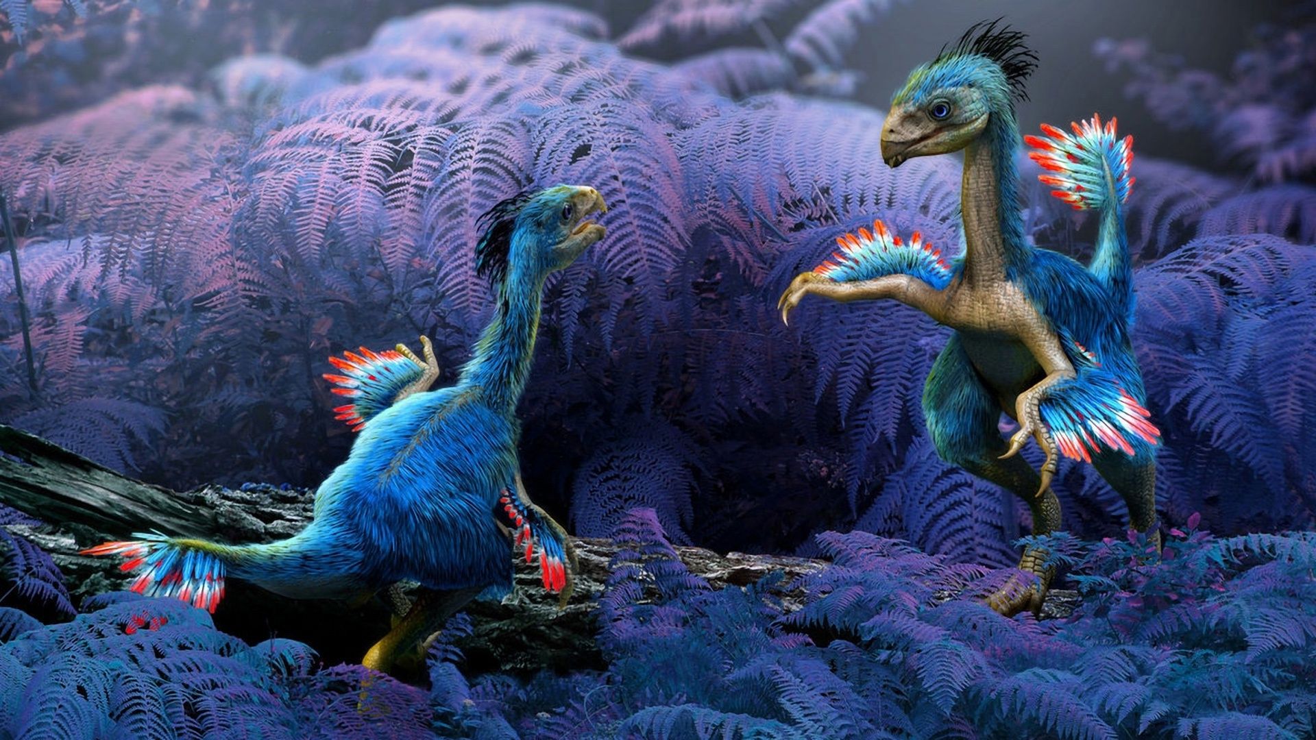 Gefiederte Dinosaurier, Raptoren, Farne, Blau, Urzeit, 1920x1080, Full-HD-Hintergrundbild für PC