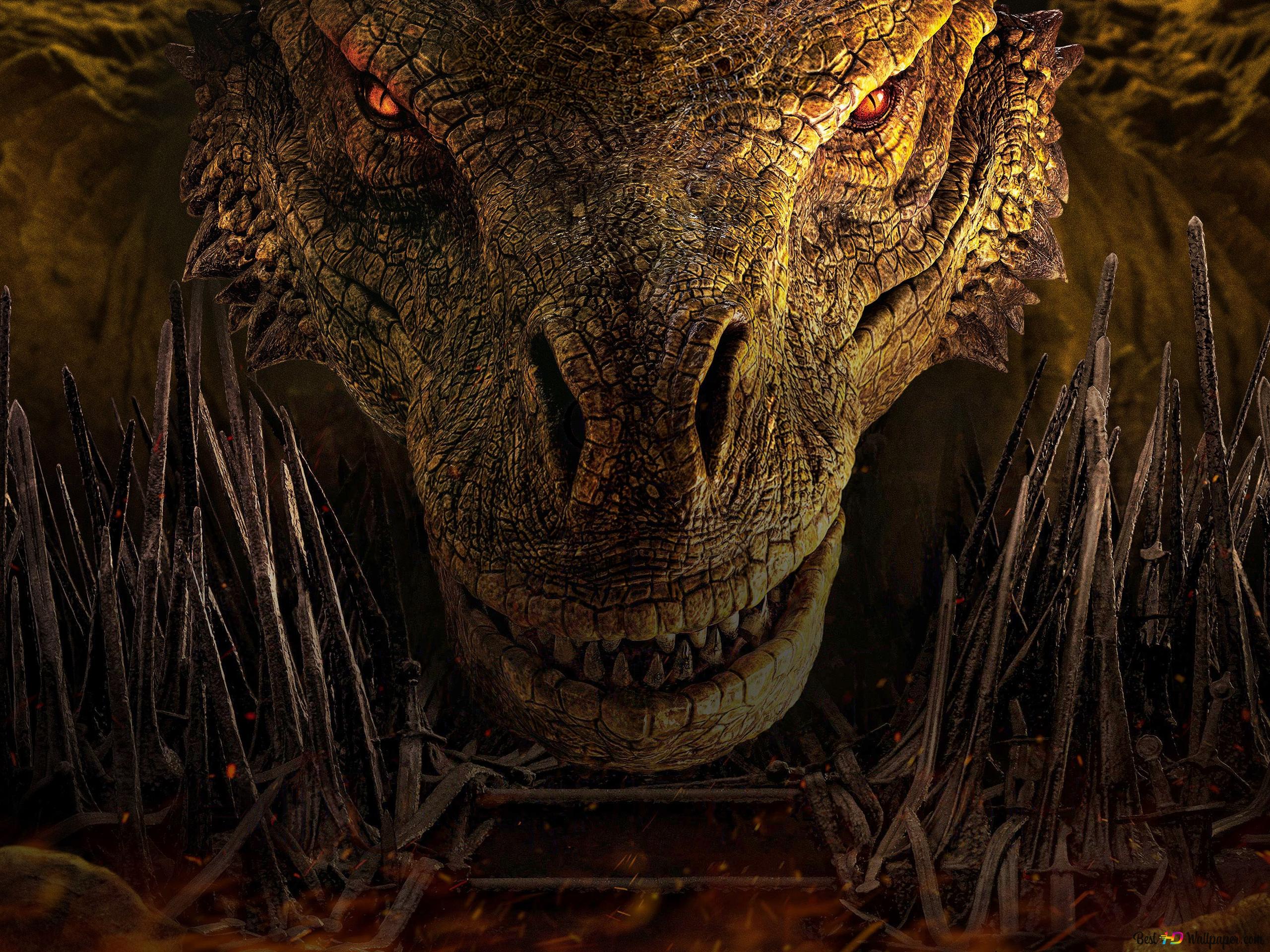 Drache, Kopf, Schuppen, Braun, Nahaufnahme, 2K, iPad-Hintergrundbild