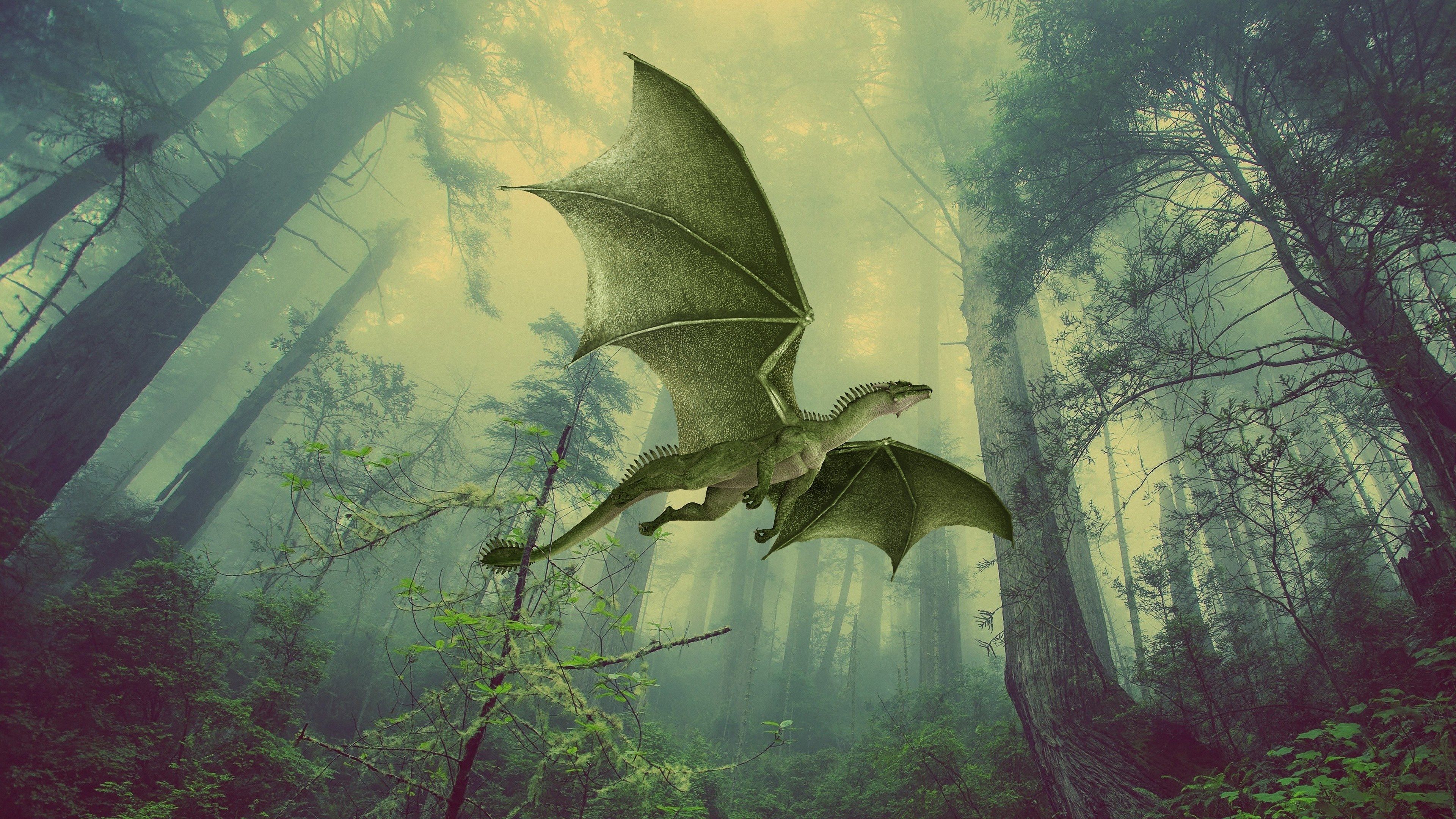 Grüner Drache, Nebelwald, Bäume, Fliegend, Fantasy, 4K 2160p, Desktop-Hintergrundbild