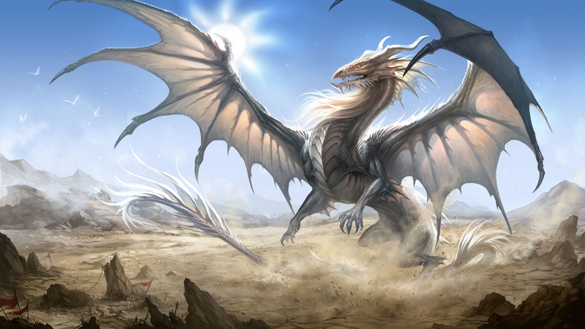 Weißer Drache, Wüste, Flügel, Sonnenlicht, Fantasy-Kunst, 1920x1080, PC-Hintergrundbild