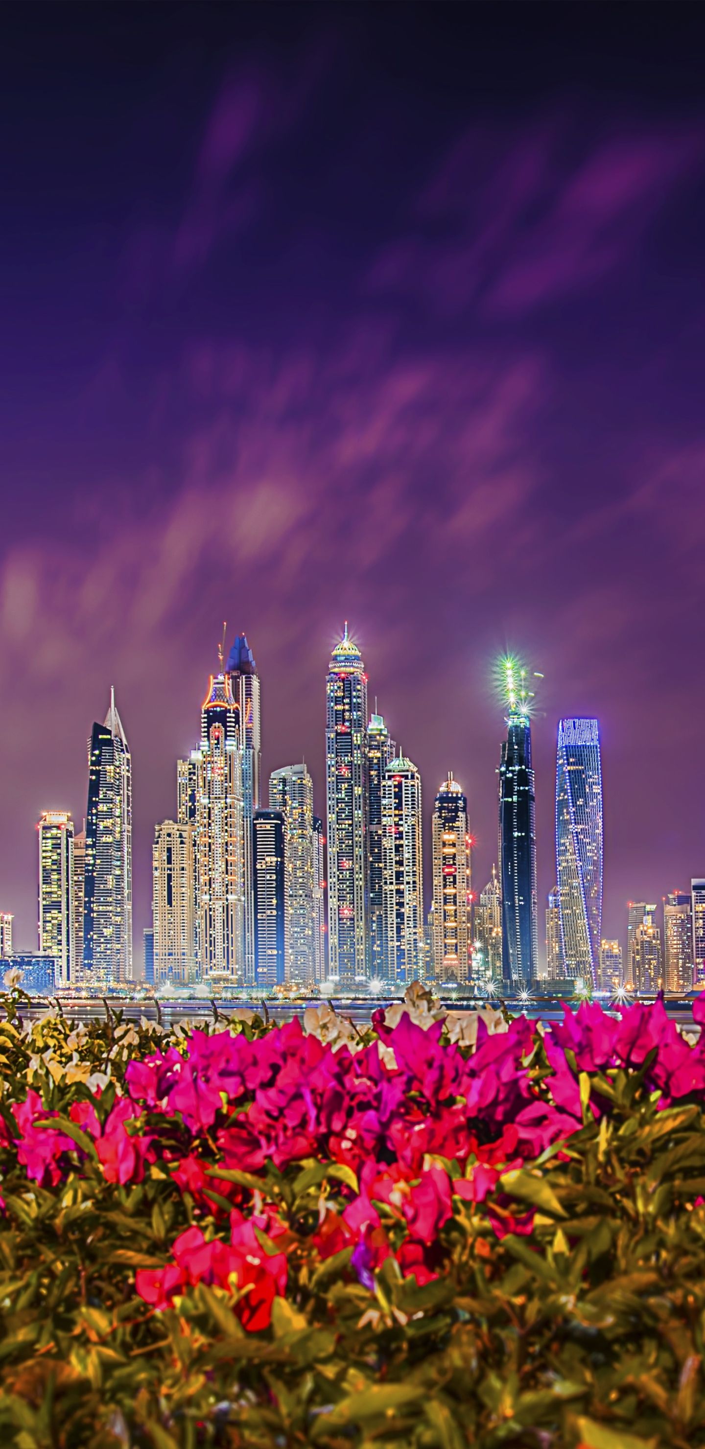 Dubai Marina, Dubai, Bougainvillea, Pinke Blüten, Lila Himmel, Hochformat, QHD+, iPhone-Hintergrundbild