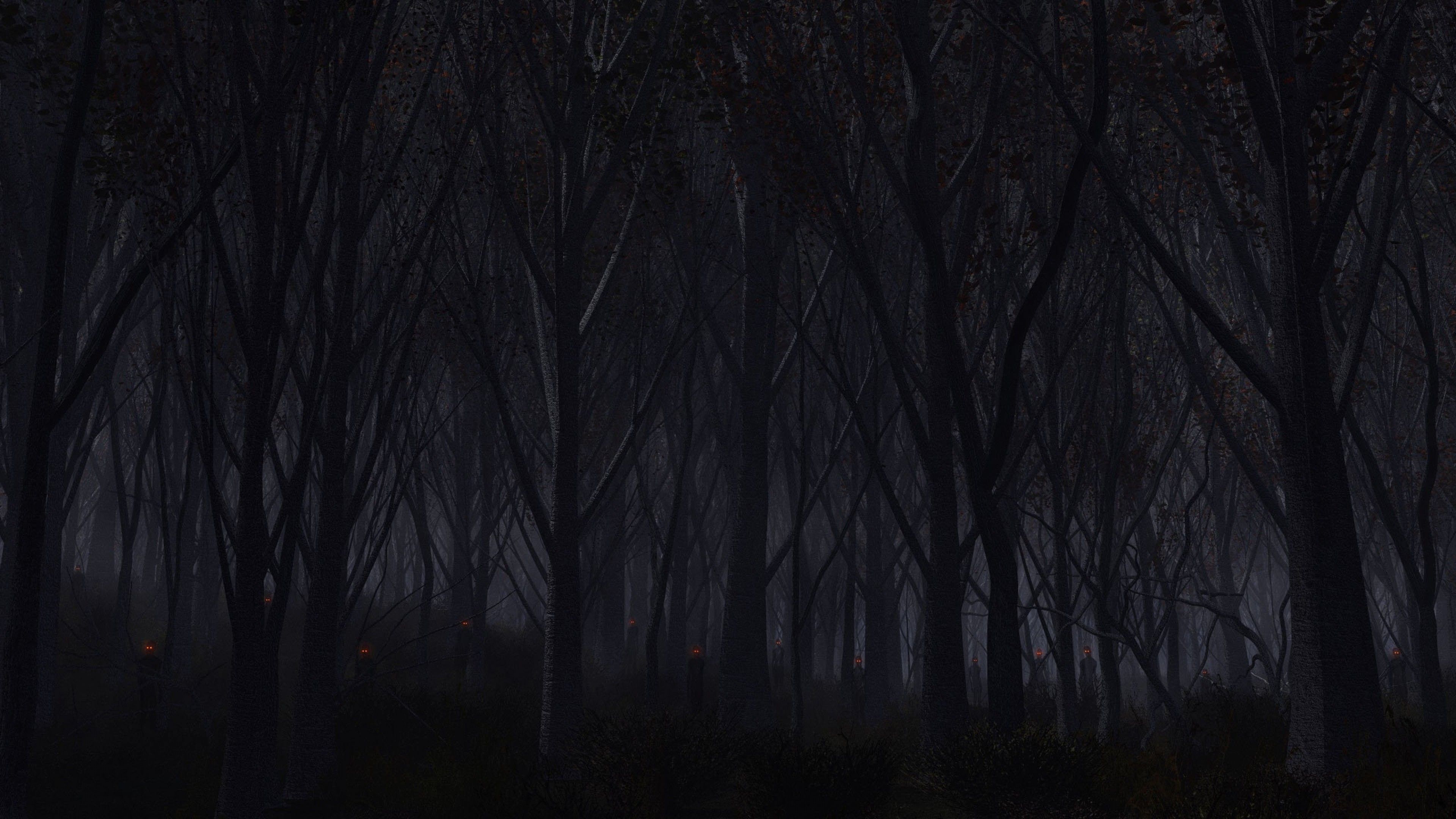 Wald, Nacht, Bäume, Düster, Silhouetten, 4K 2160p, Desktop-Hintergrundbild