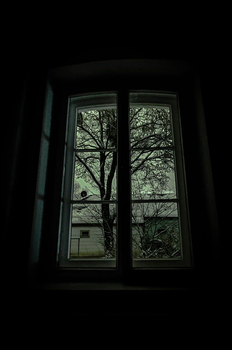 Fenster, Dunkler Raum, Baum, Düster, Hochformat, HD, Sperrbildschirm fürs iPhone