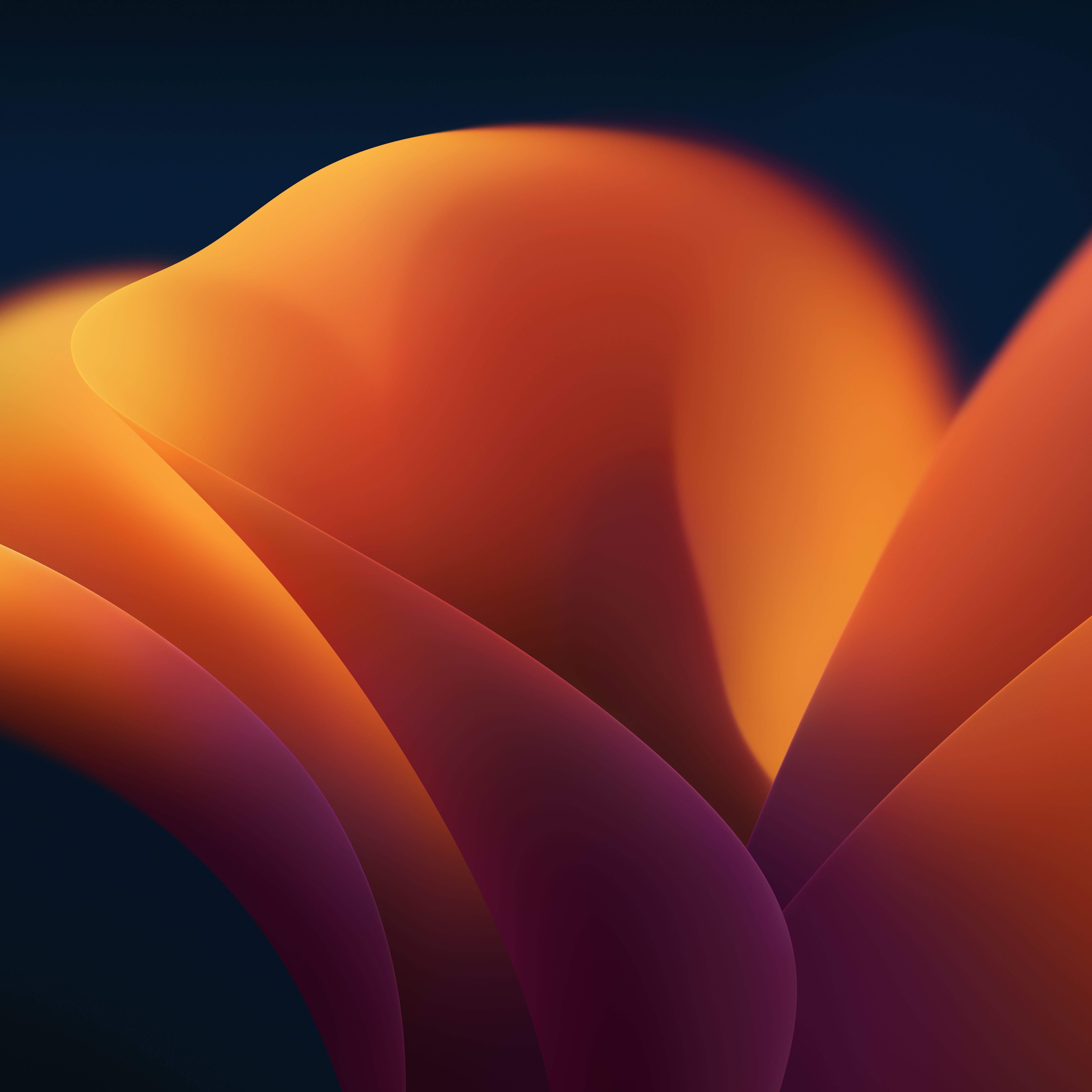 macOS Ventura, Orange, Abstrakte Form, Farbverlauf, Dunkelblau, 6K, iPad-Hintergrundbild