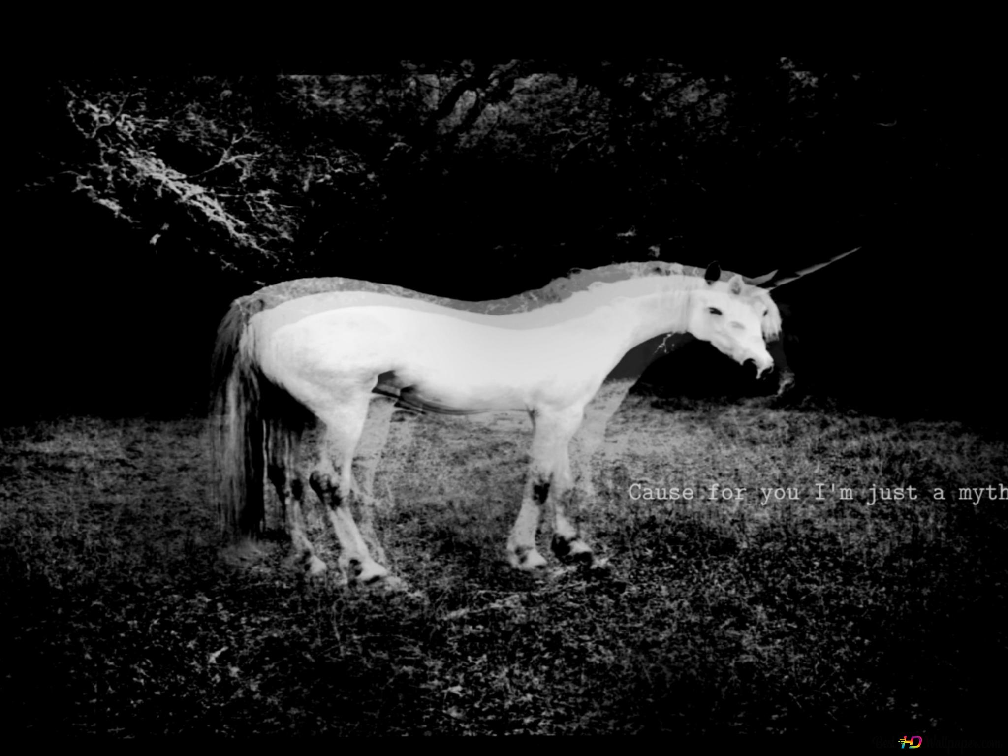 Einhorn, Schwarzweiß, Wiese, Fantasy, Text, Full HD, iPad-Hintergrundbild