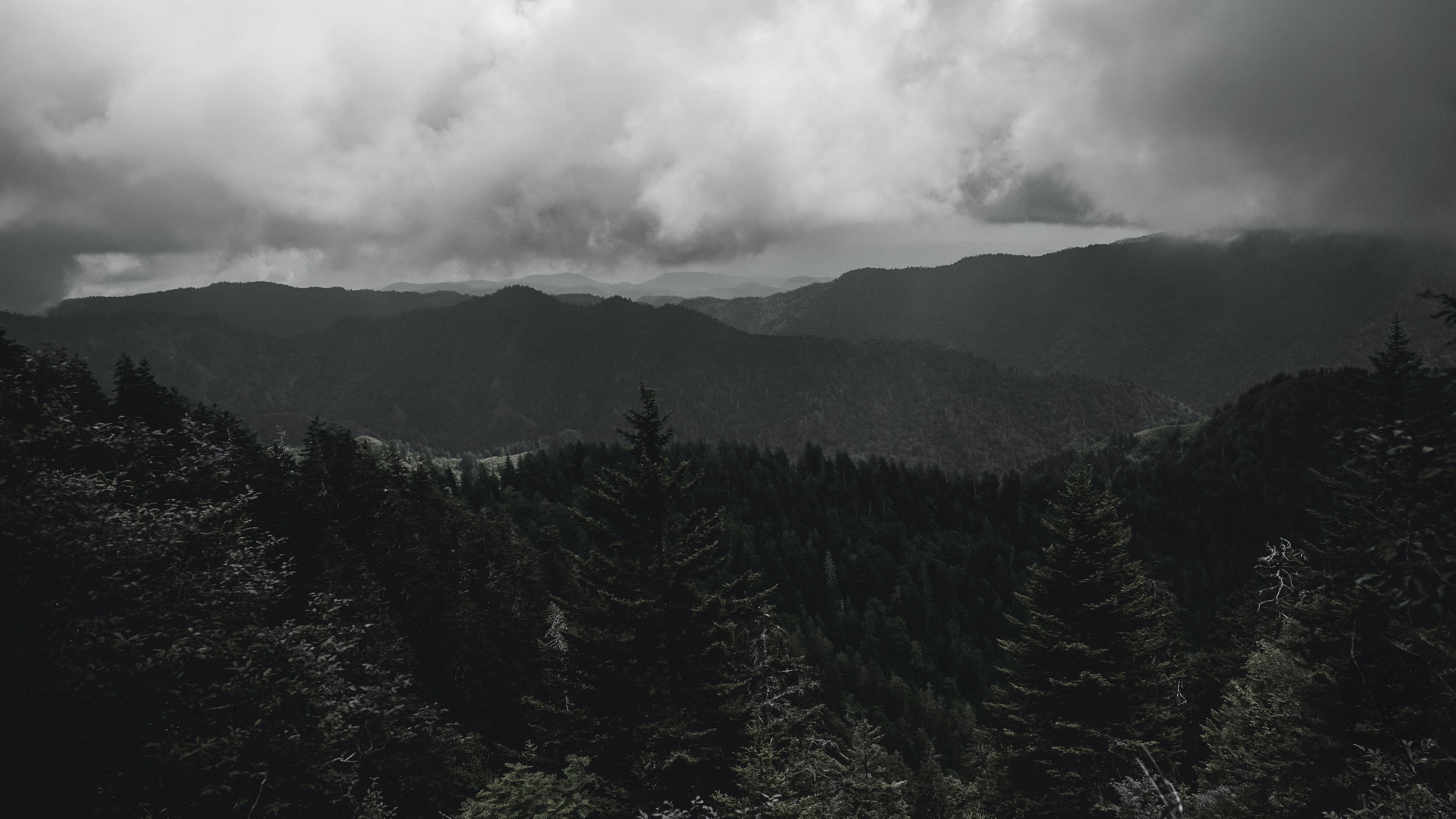 Berge, Nadelwald, Wolken, Bewölkter Himmel, Gedämpfte Farben, 6K, Breitbild-Hintergrundbild