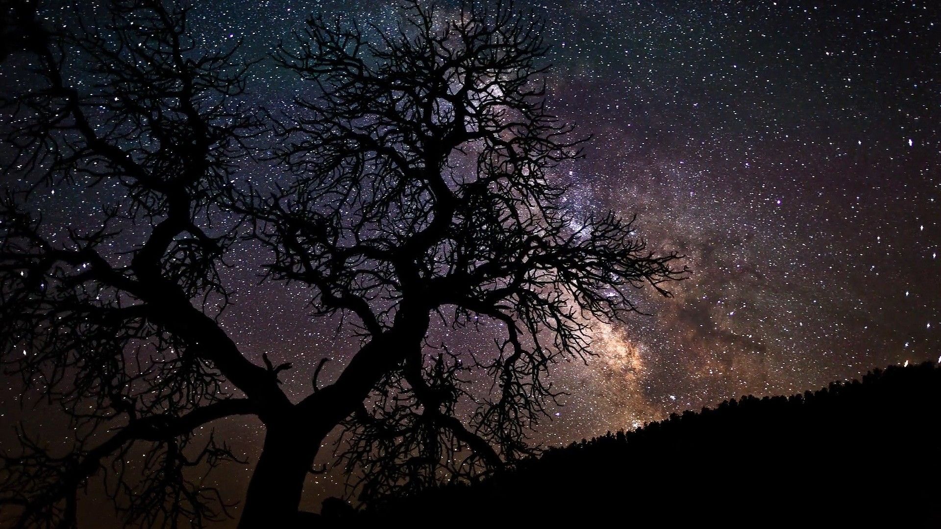Milchstraße, Baumsilhouette, Sternenhimmel, Nacht, Kahler Baum, Full HD, Desktop-Hintergrund