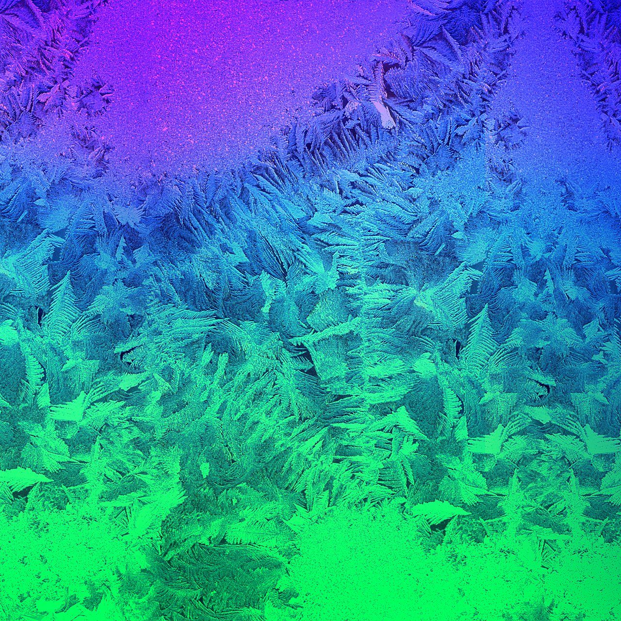 Eisblumen, Frost, Blau-Grün, Farbverlauf, Makro, Hintergrundbild für iPad und Tablet