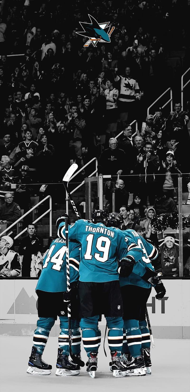 San Jose Sharks, Torjubel, Mannschaft, Arena, Hochformat, HD, Handy-Hintergrund