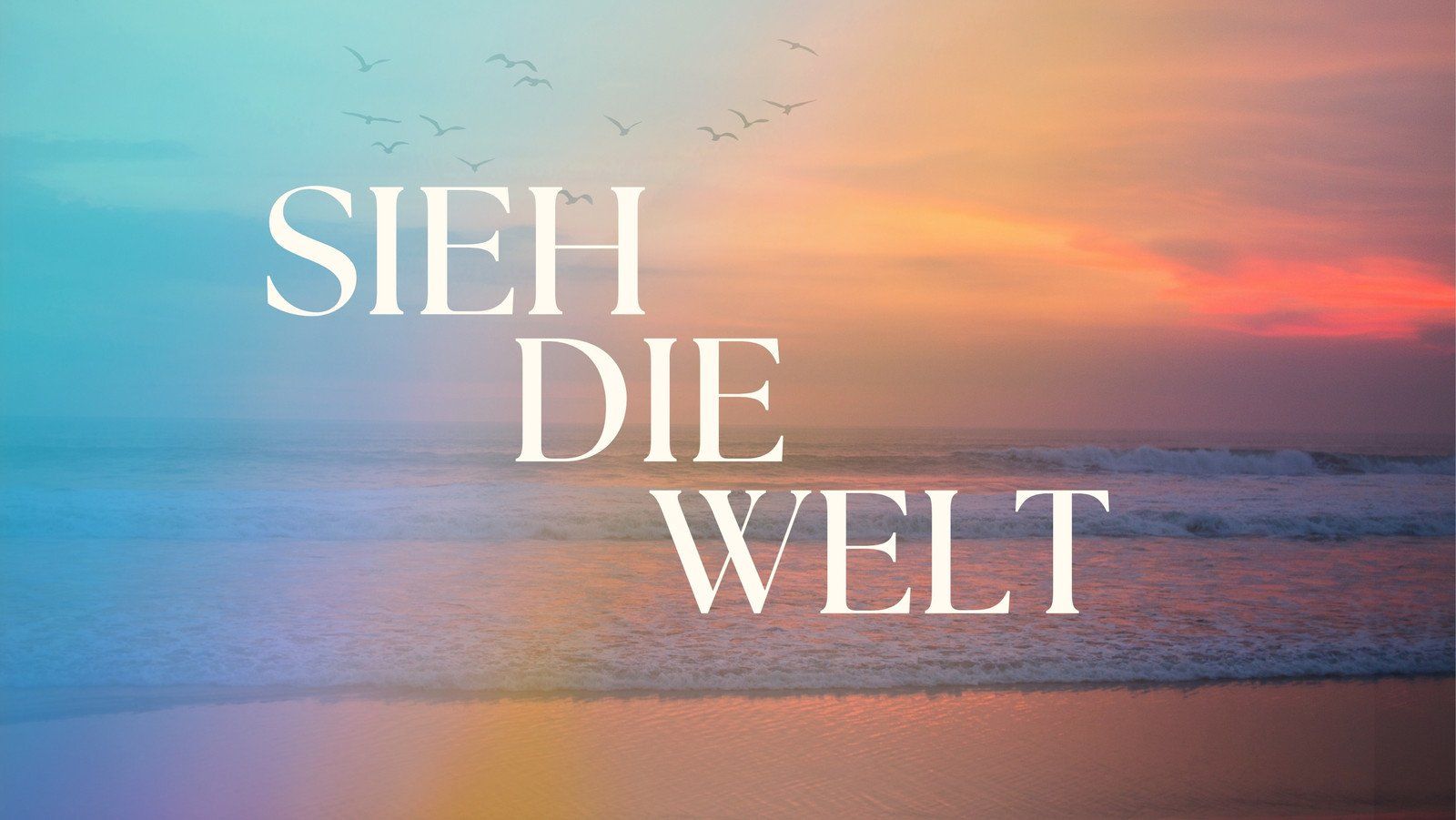 Sieh die Welt, Schriftzug, Meer, Sonnenuntergang, Pastellhimmel, HD, Breitbild-Hintergrundbild